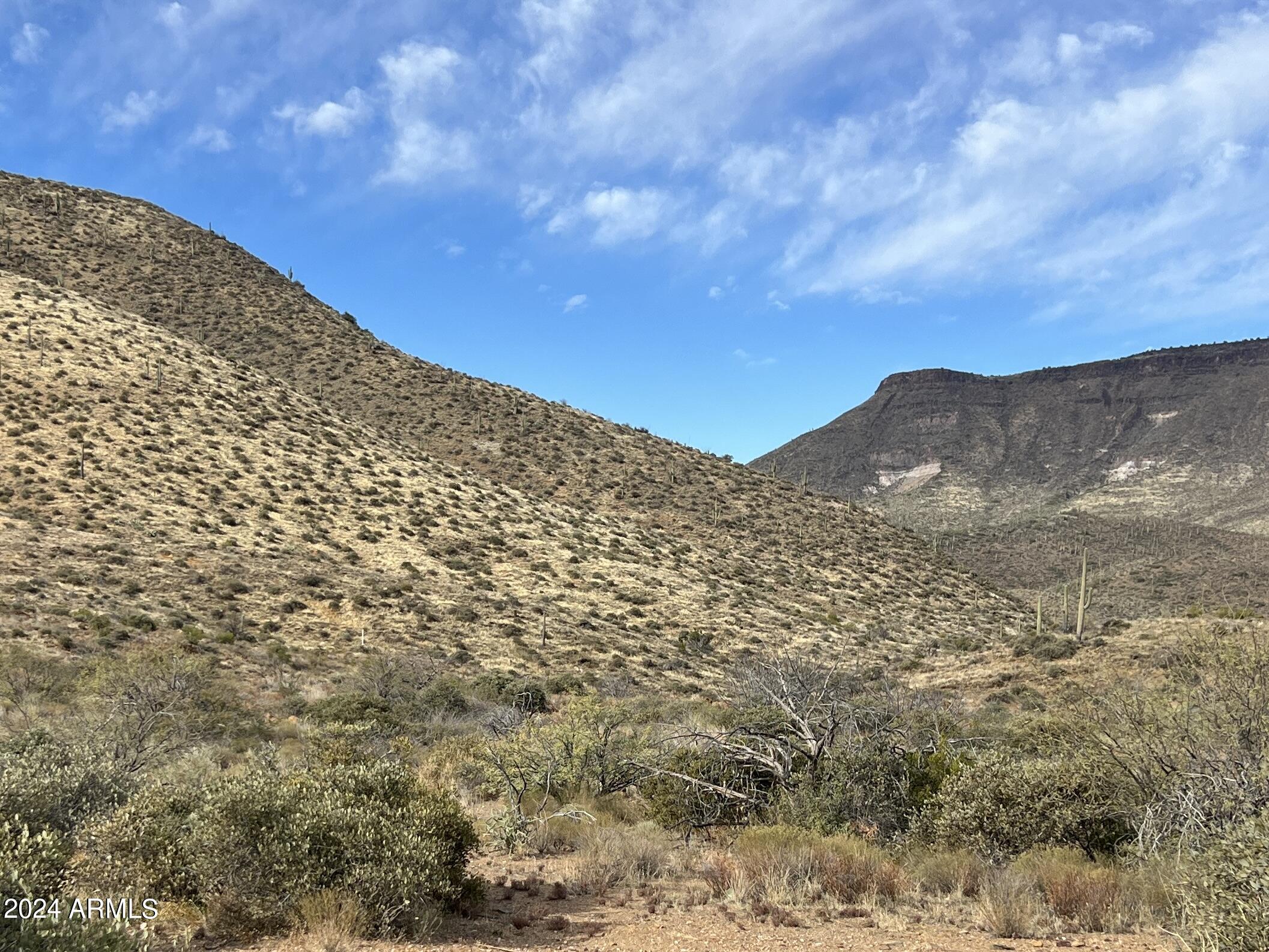 46000 N Fleming Springs Road, -