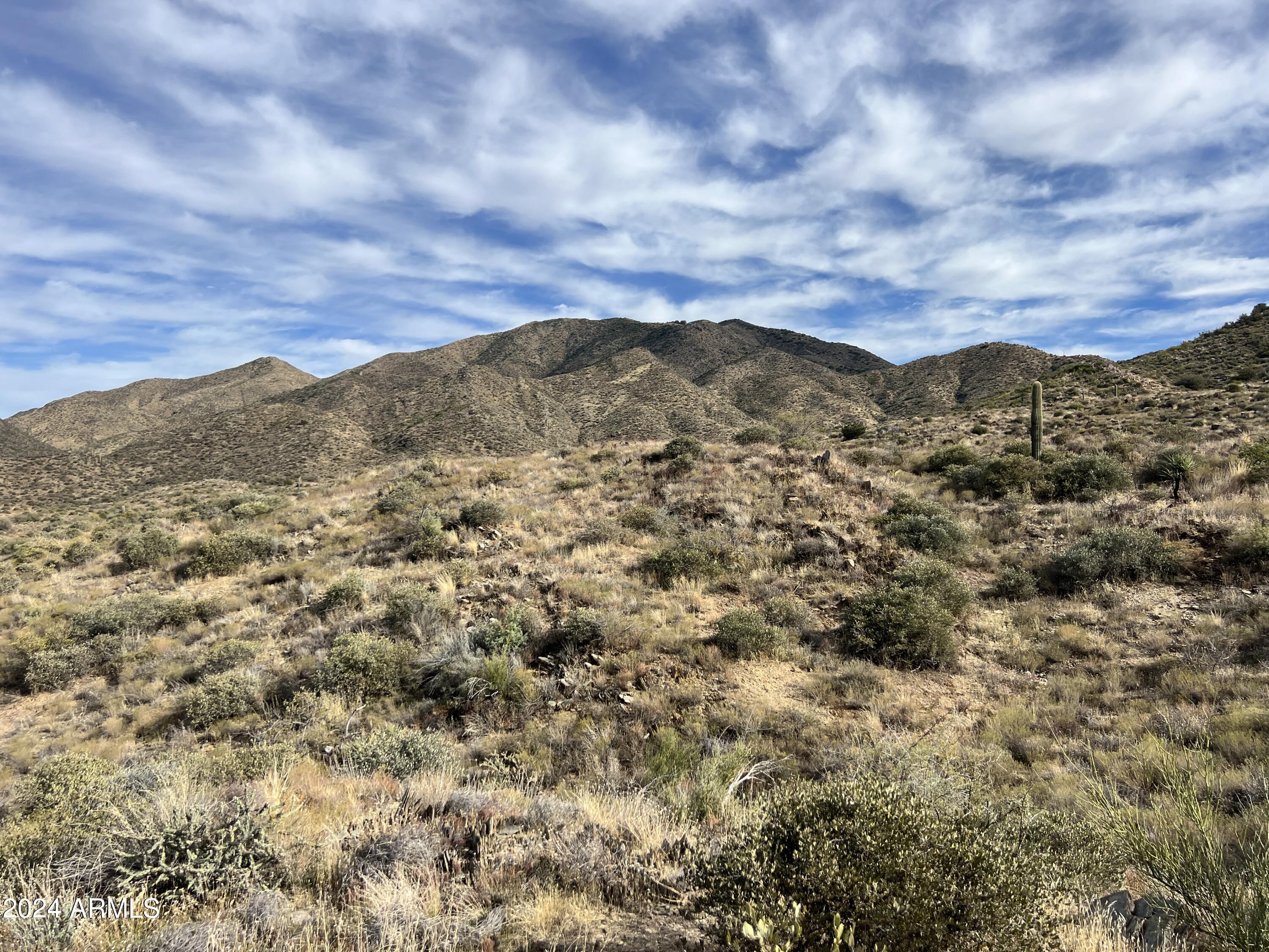 46000 N Fleming Springs Road, -