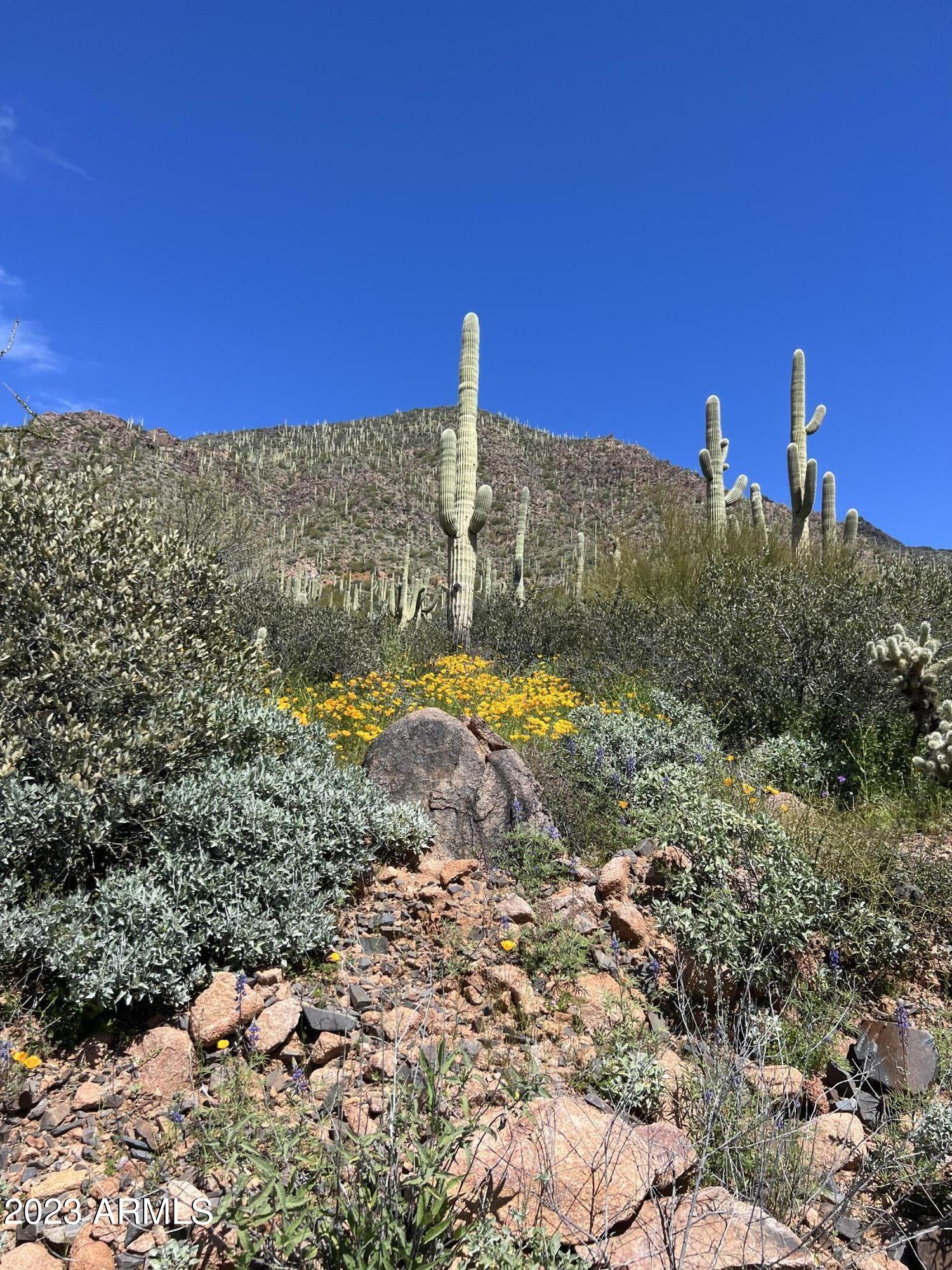 46000 N Fleming Springs Road, -