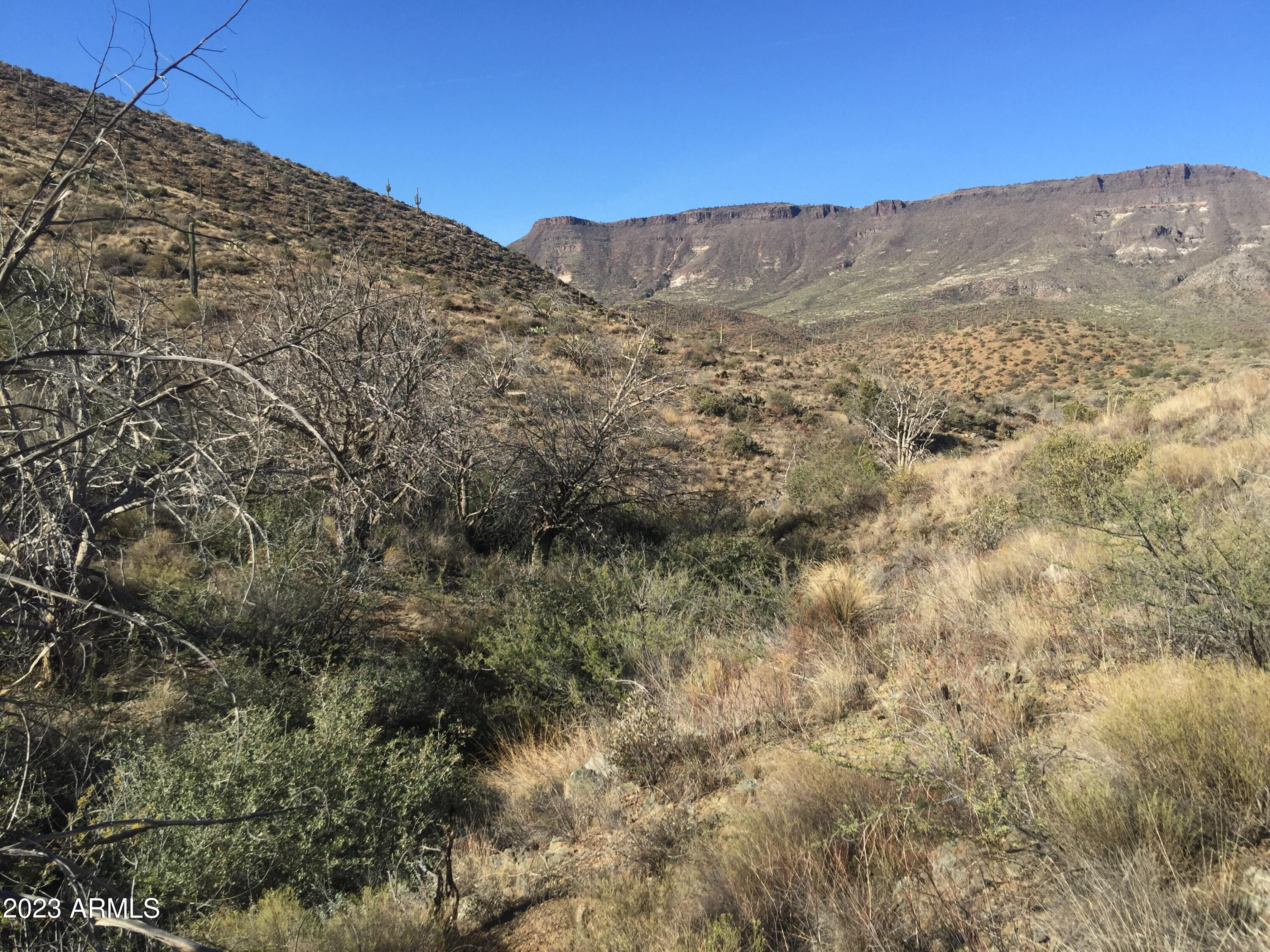 46000 N Fleming Springs Road, -