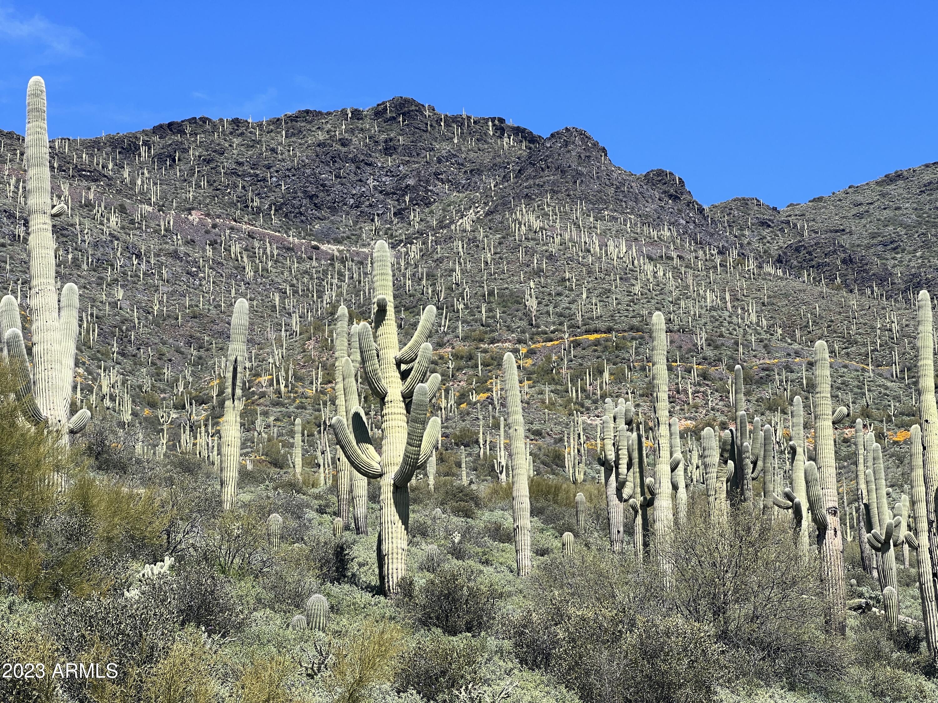 46000 N Fleming Springs Road, -