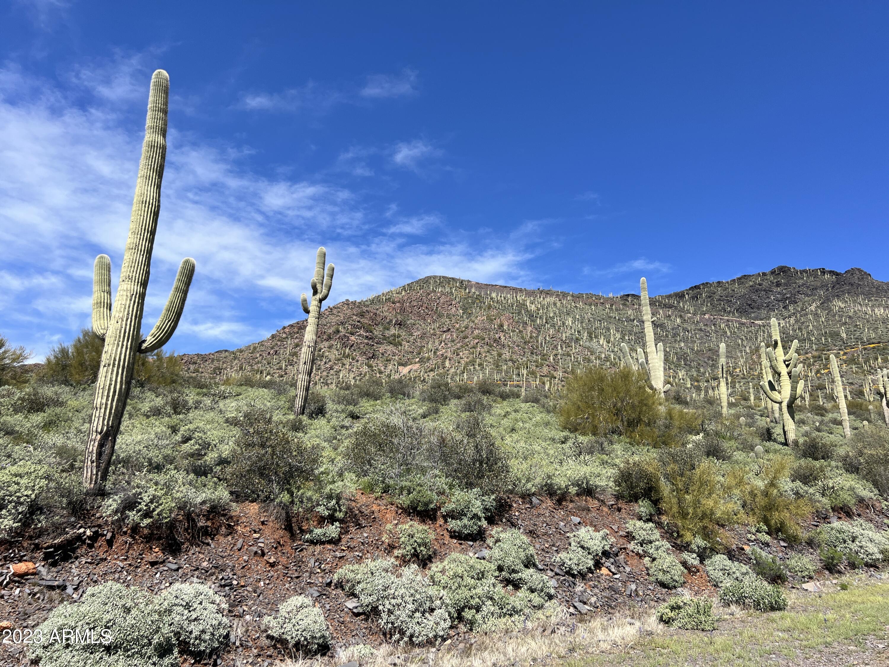 46000 N Fleming Springs Road, -