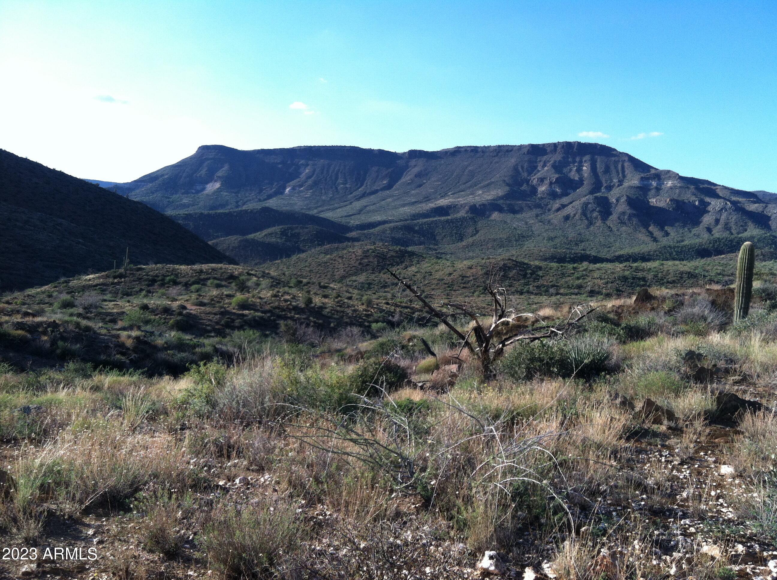 46000 N Fleming Springs Road, -