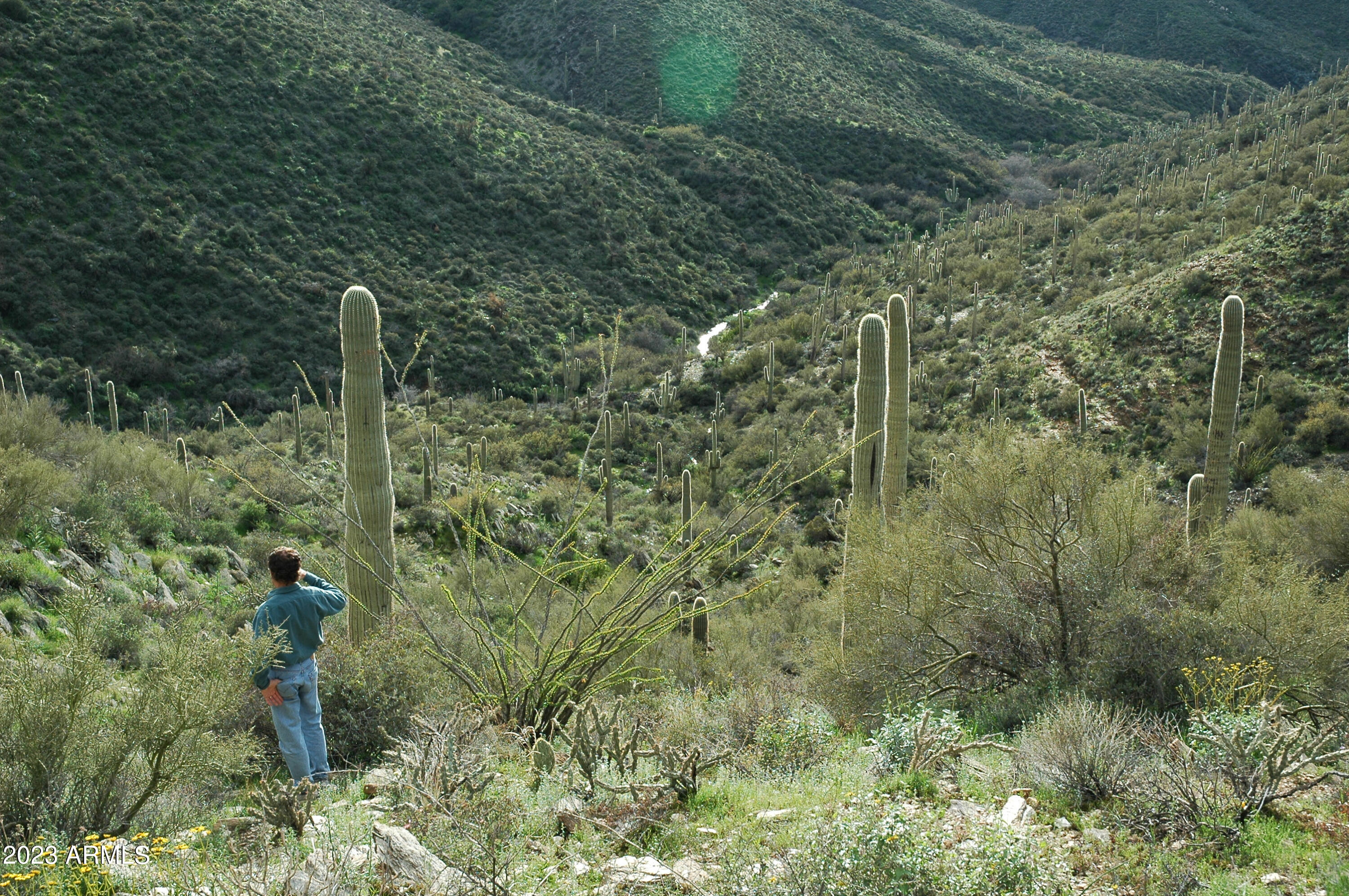 46000 N Fleming Springs Road, -