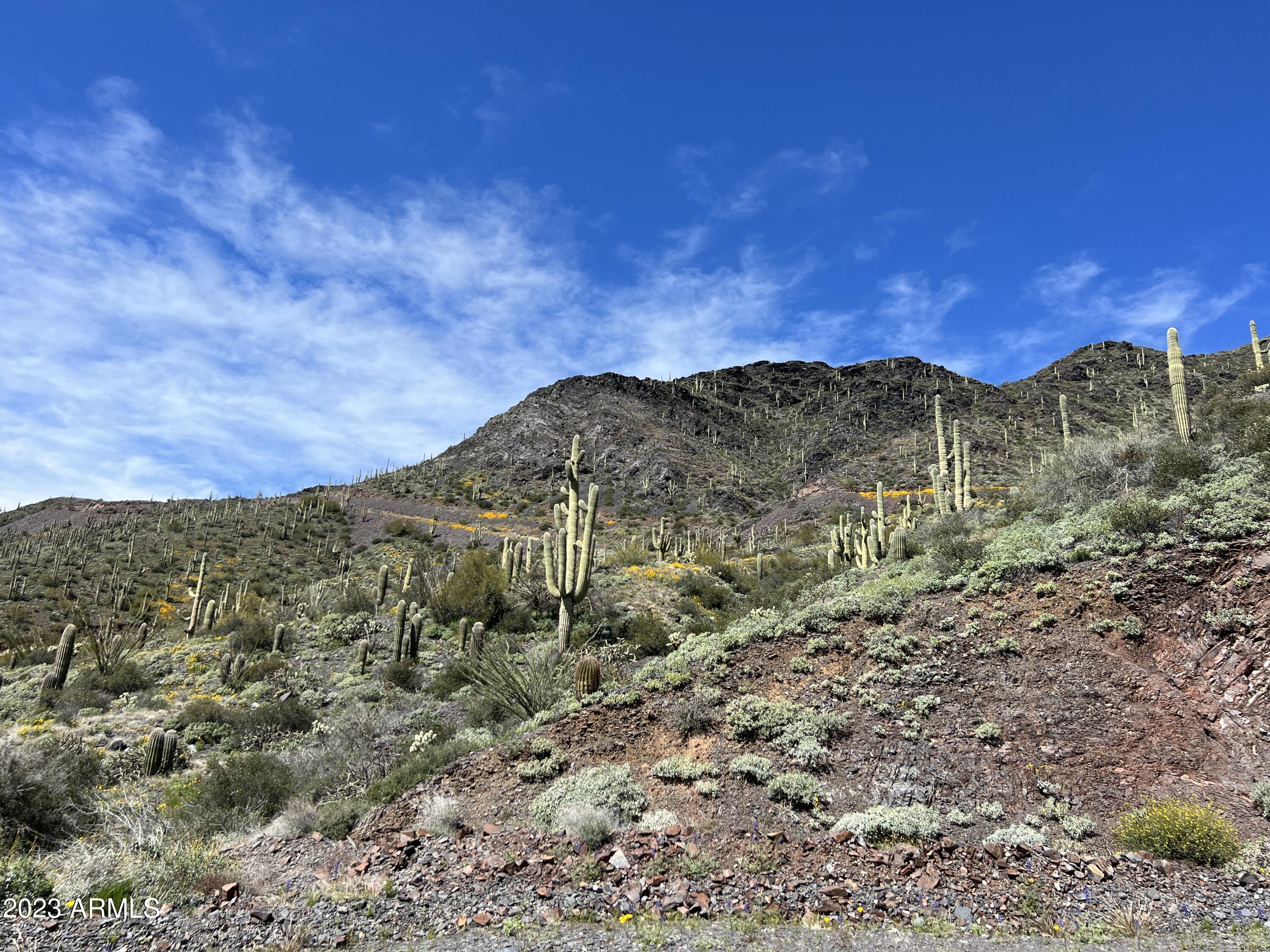 46000 N Fleming Springs Road, -