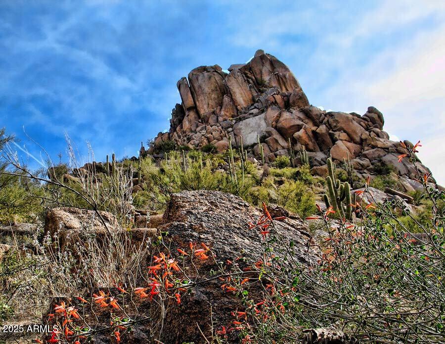 10798 E HEDGEHOG Place