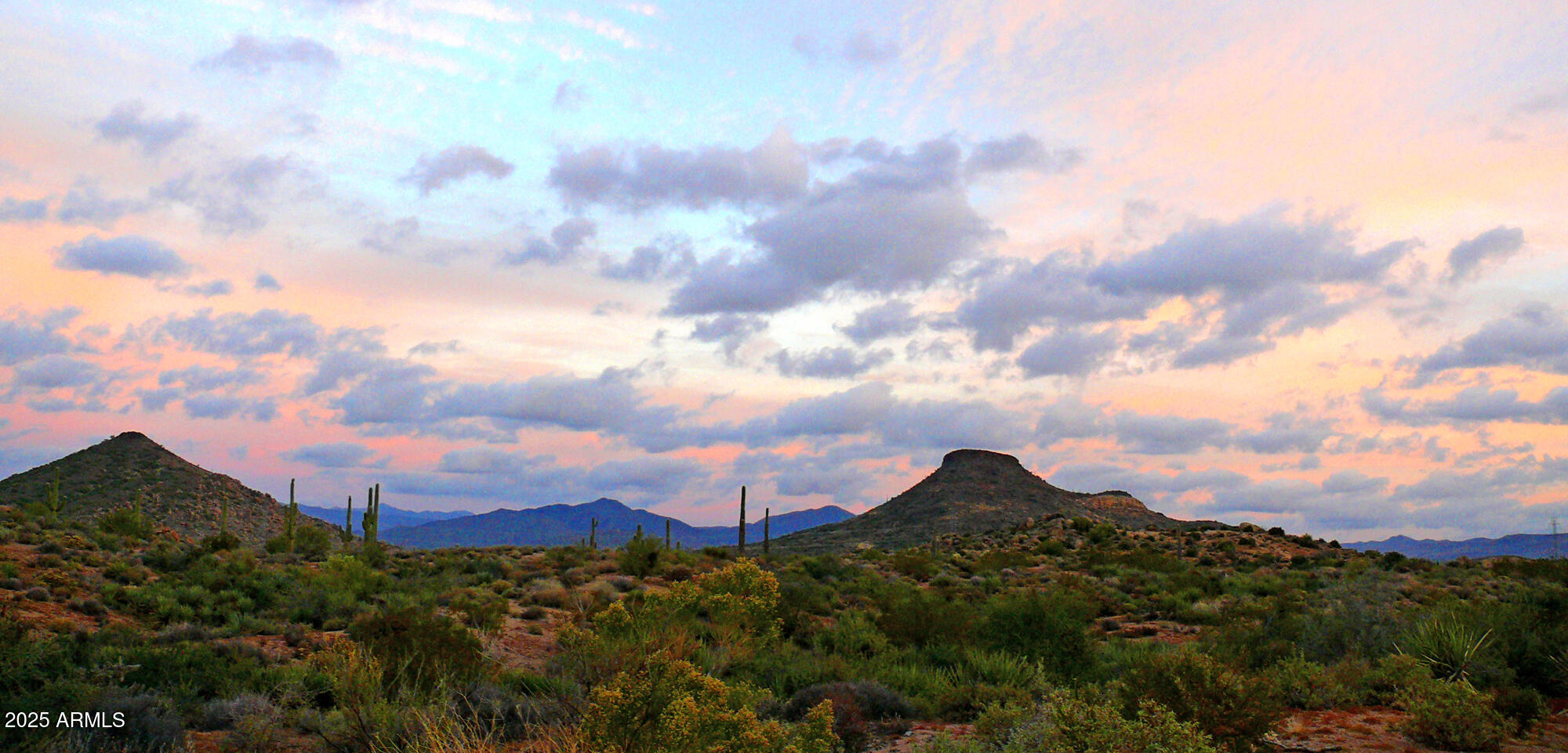 10798 E HEDGEHOG Place