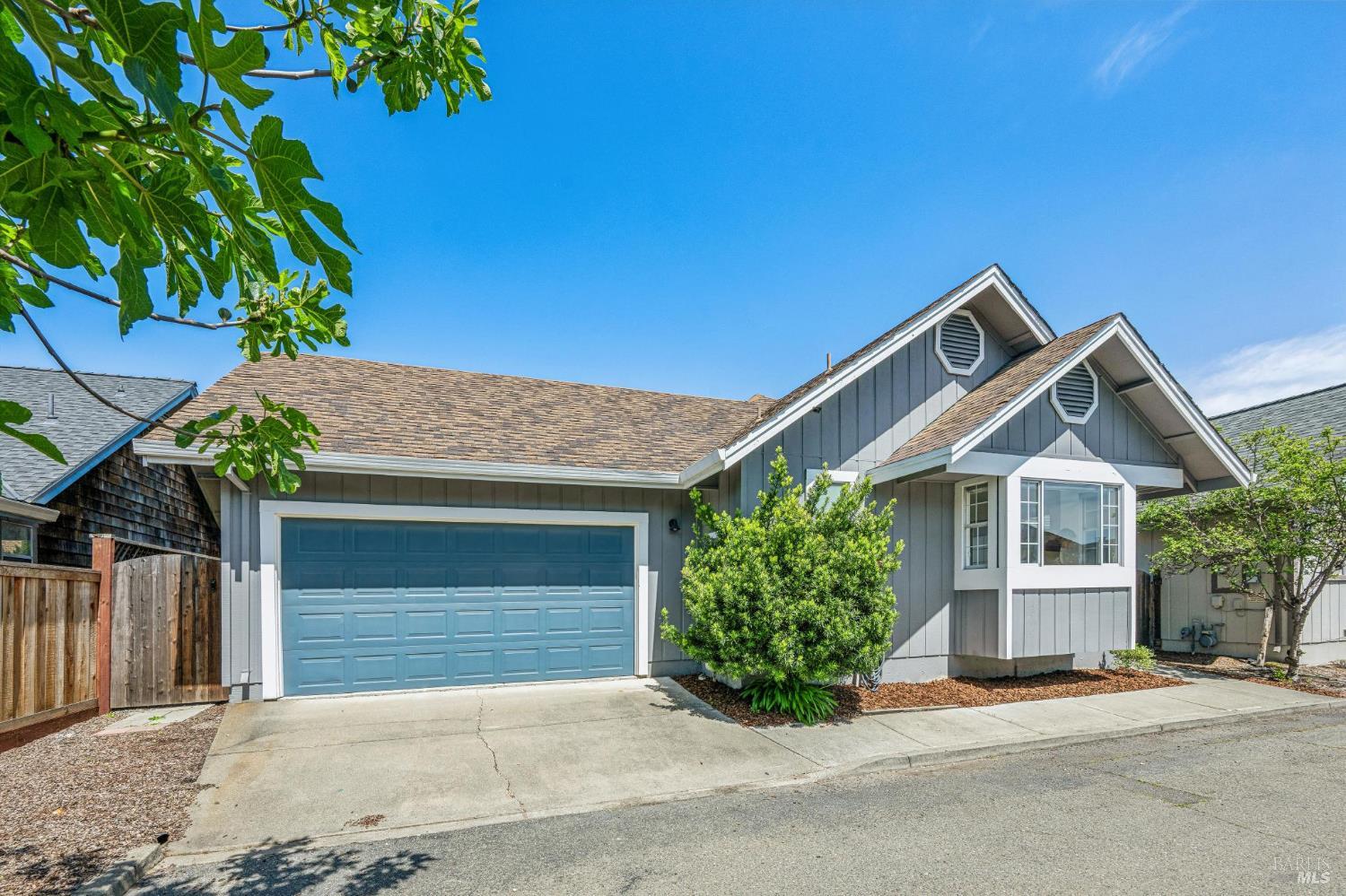 1429 Dandelion Way