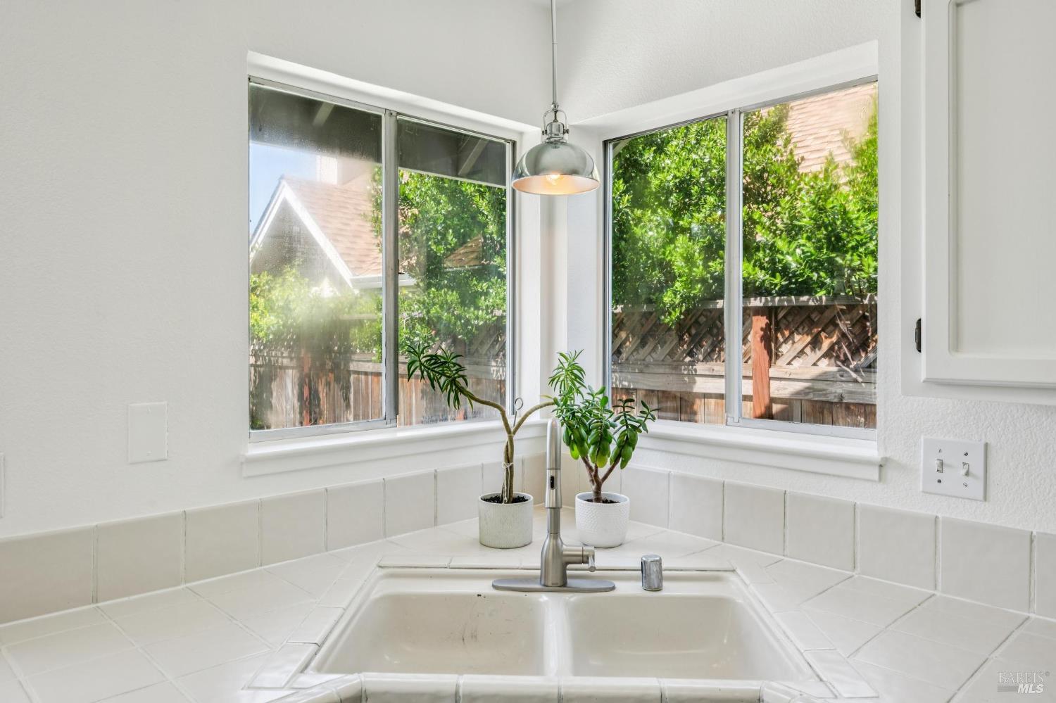 1429 Dandelion Way