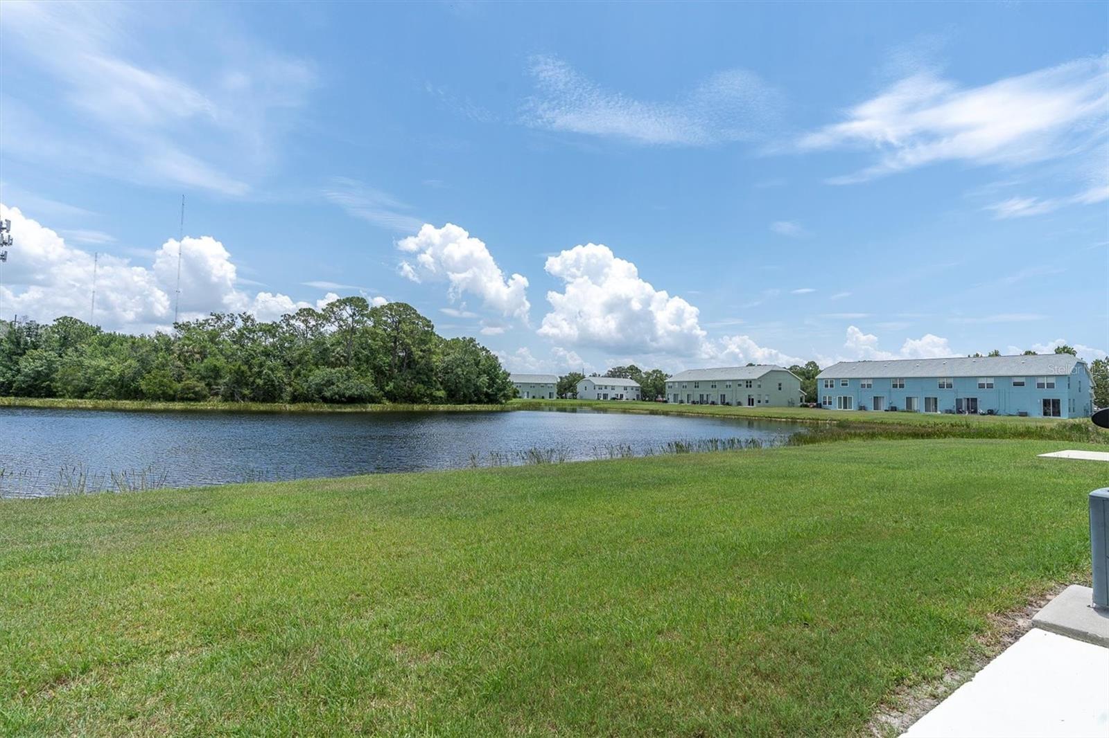 11617 COLONY LAKE DR