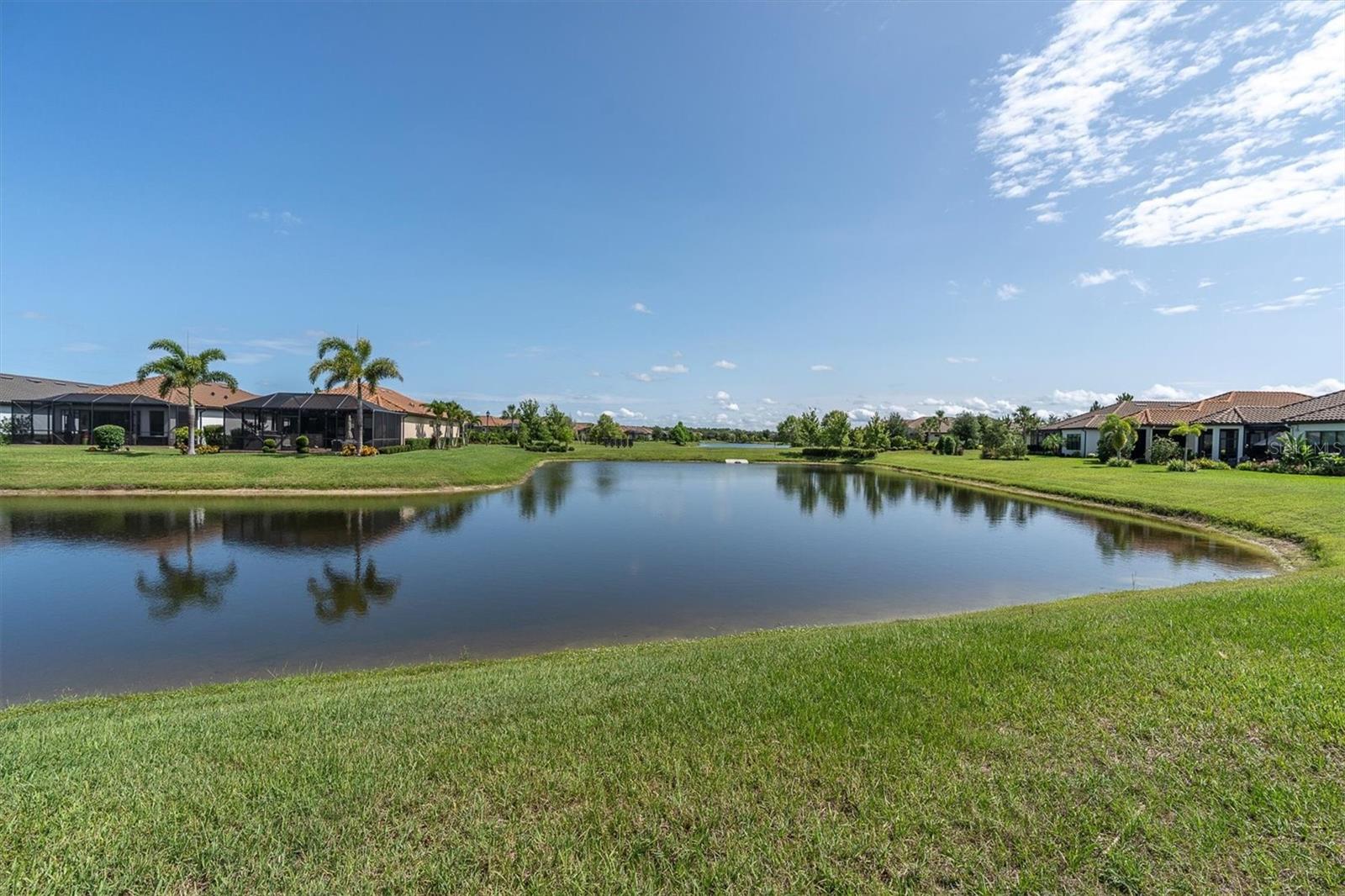 3167 FORSYTHIA DR