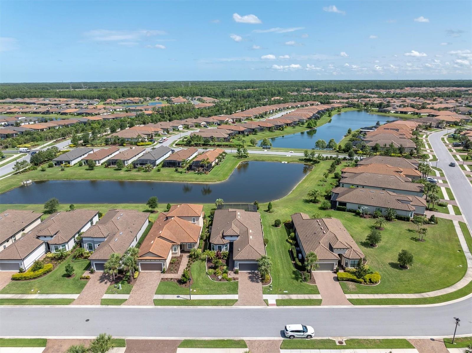 3167 FORSYTHIA DR