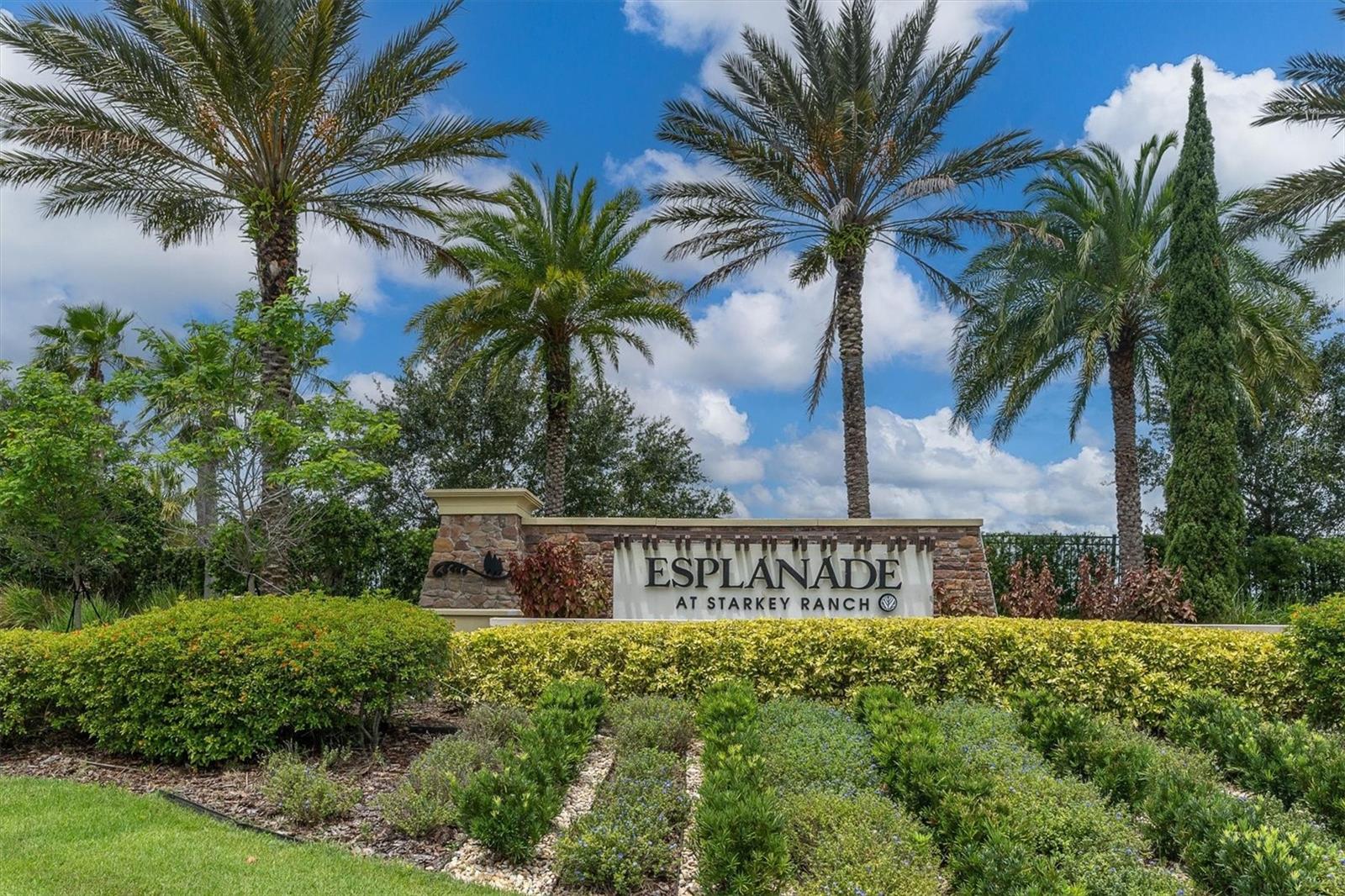 3142 FRANCOA DR