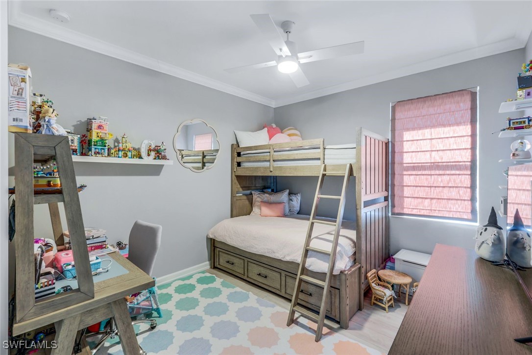 11531 Canopy LOOP