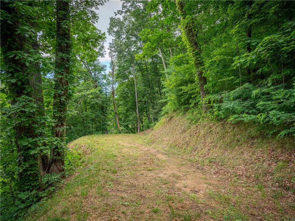 00 Pathways Trail Unit: 87