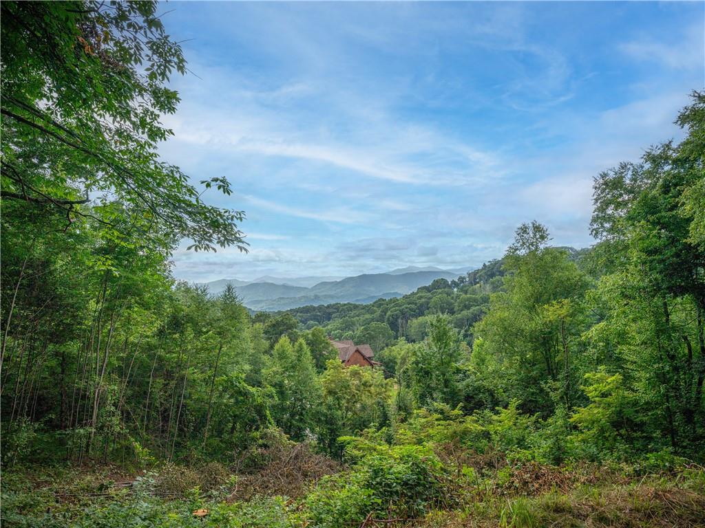 00 Pathways Trail Unit: 87