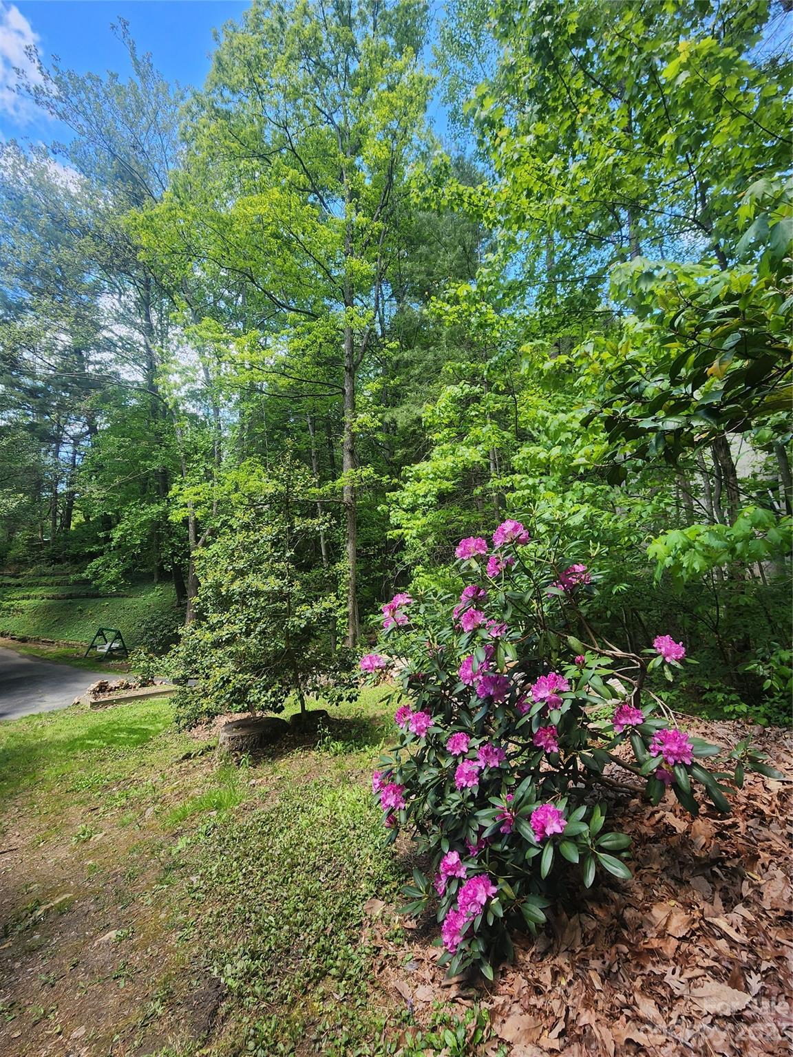 95 Ballantree Drive