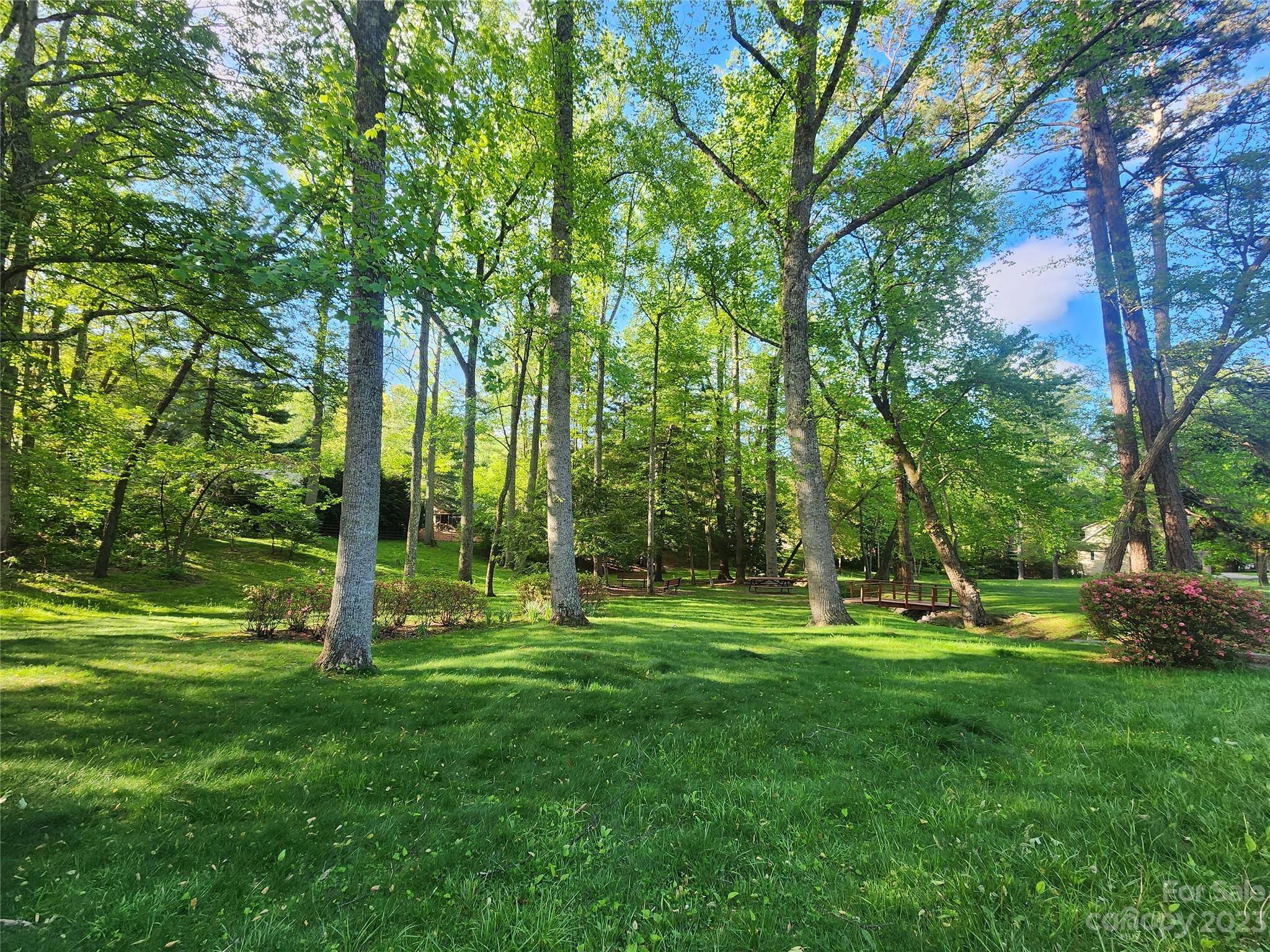 95 Ballantree Drive