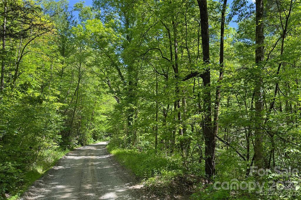9999 Rush Creek Road