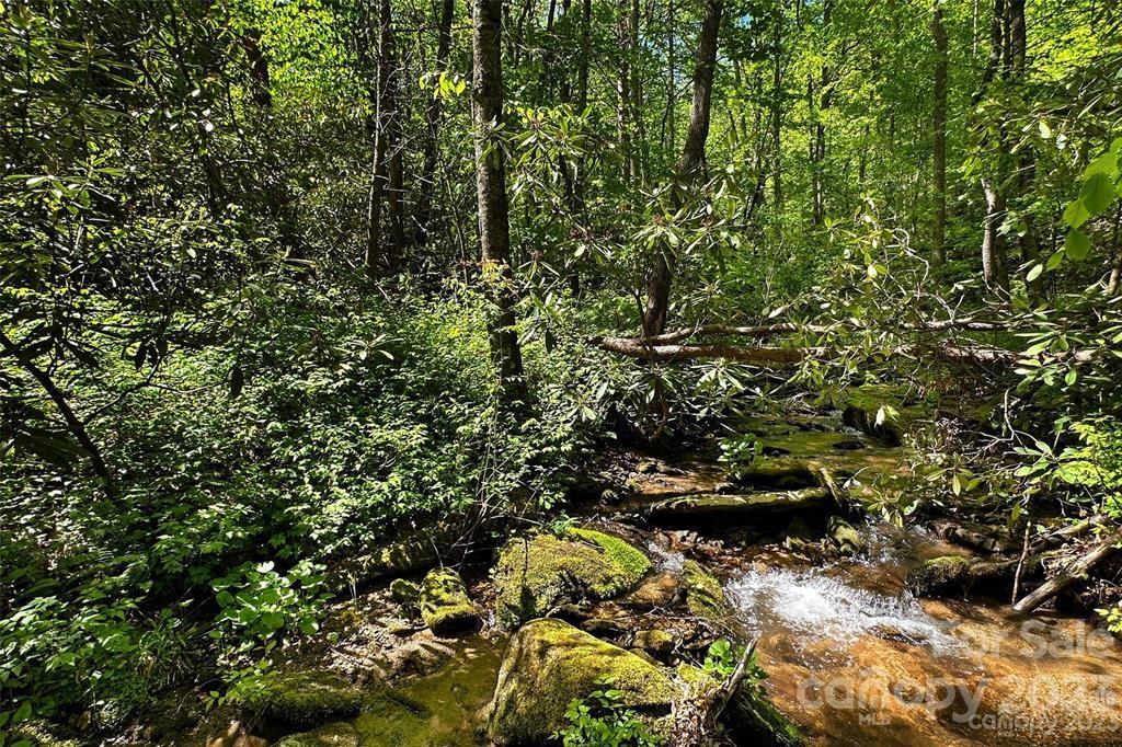 9999 Rush Creek Road