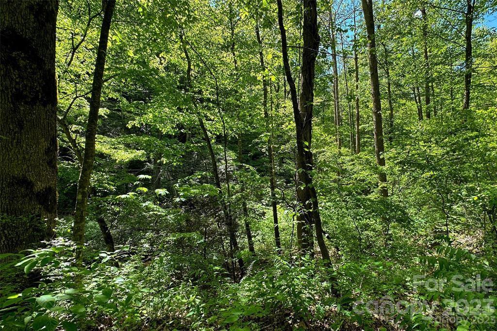 9999 Rush Creek Road