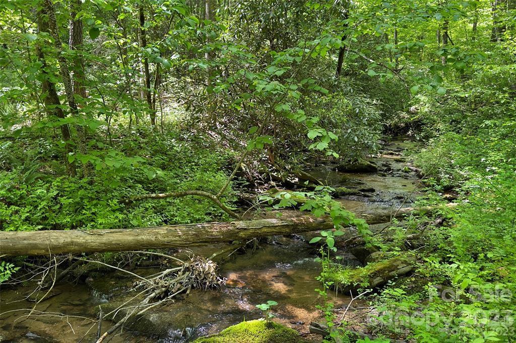 9999 Rush Creek Road