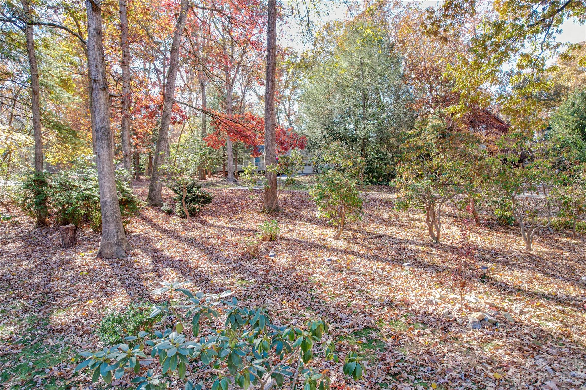 13 S Wildwood Lane