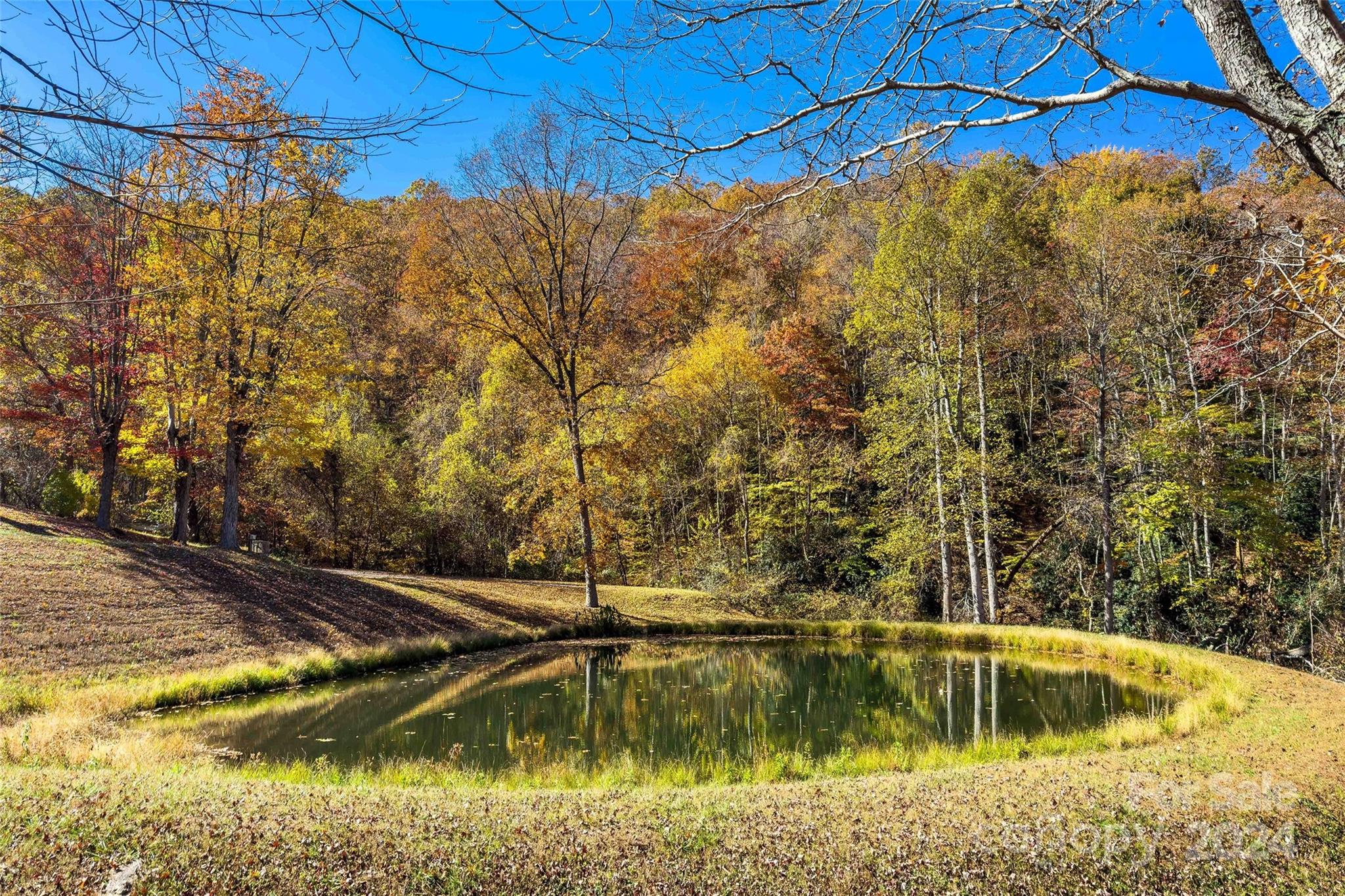 134 View Ridge Parkway Unit: 93