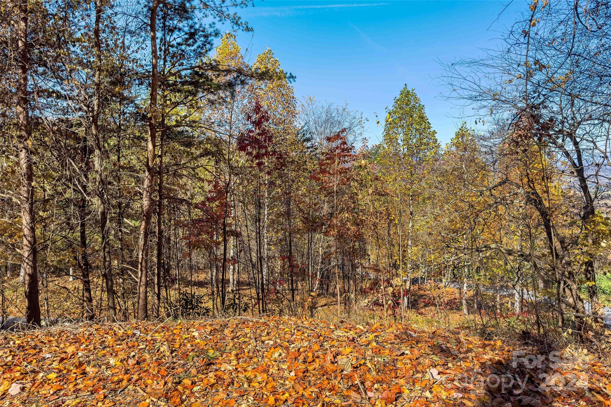 134 View Ridge Parkway Unit: 93