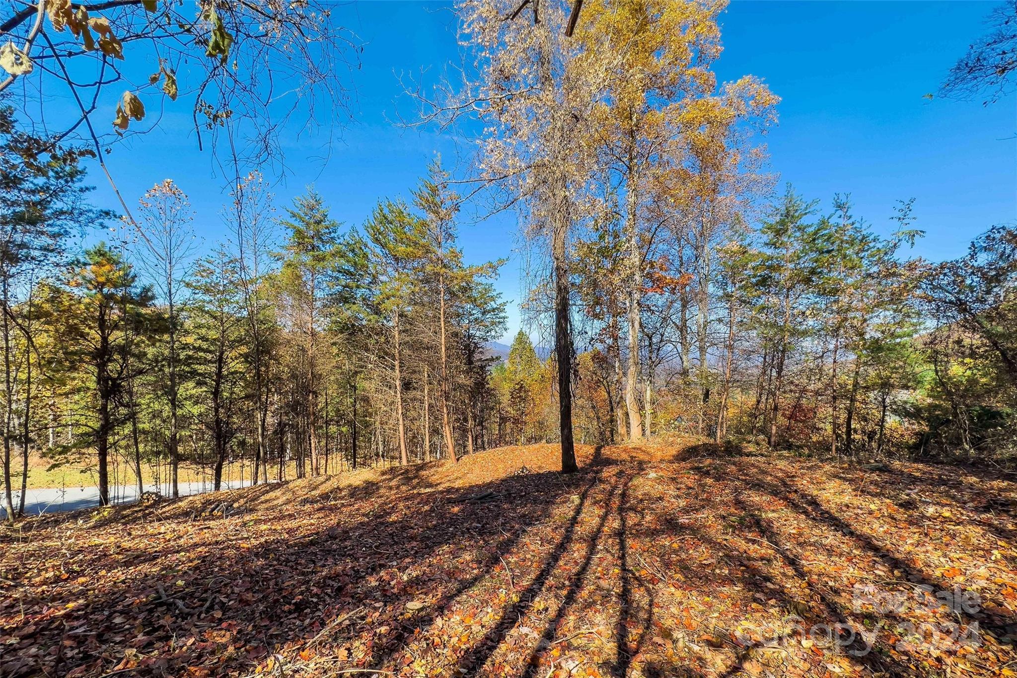 134 View Ridge Parkway Unit: 93