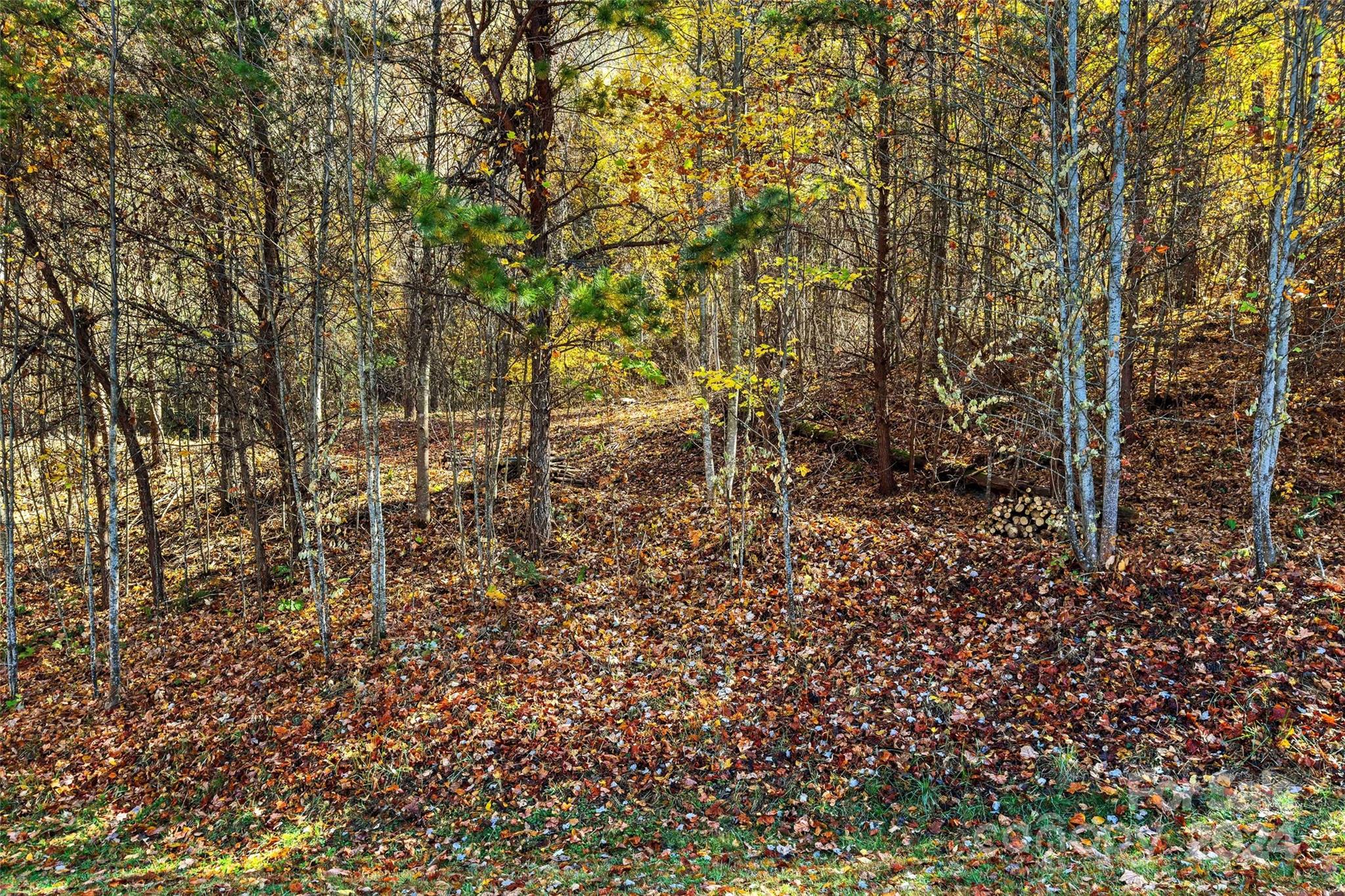 134 View Ridge Parkway Unit: 93
