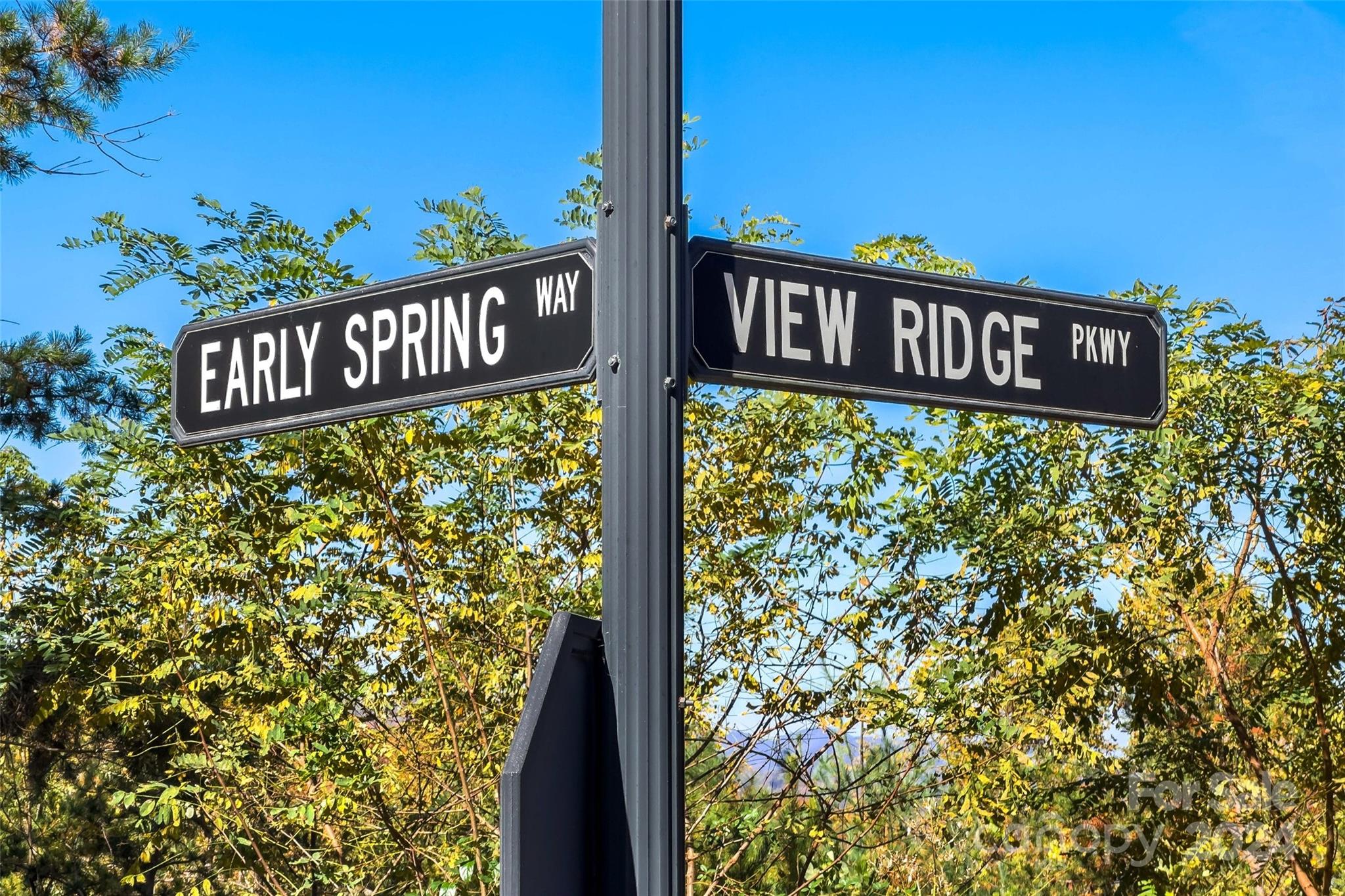 134 View Ridge Parkway Unit: 93