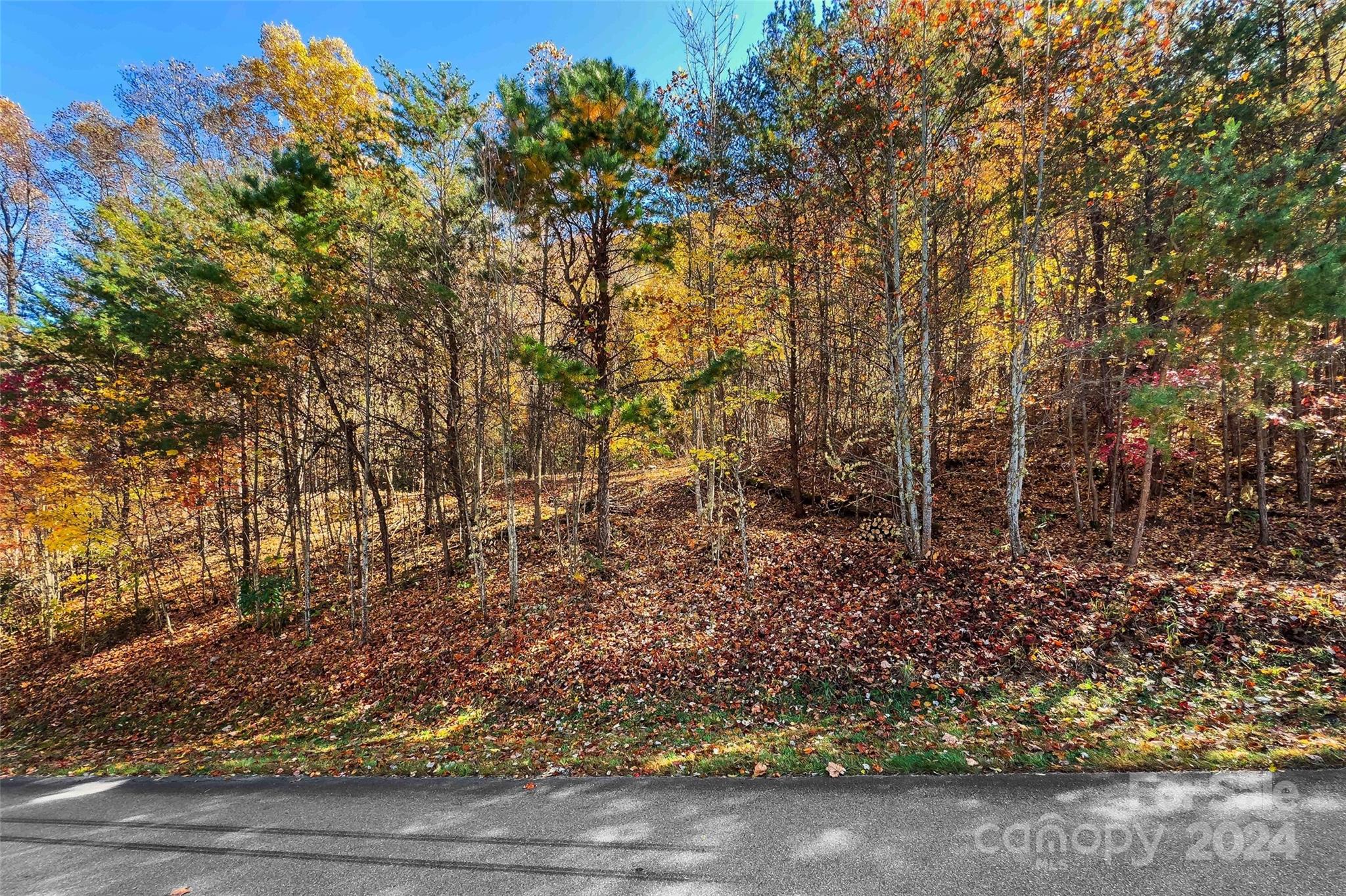134 View Ridge Parkway Unit: 93