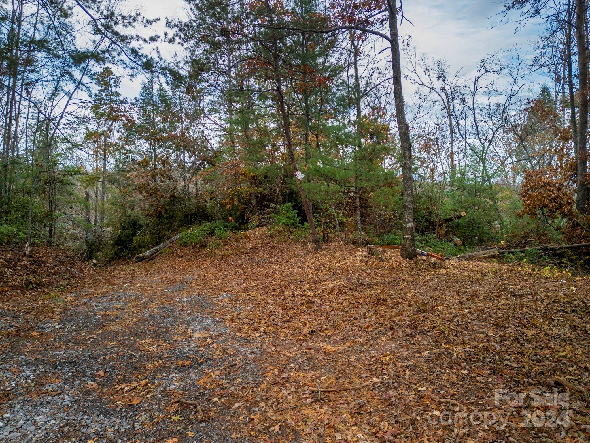 00000 Davistown Church Road