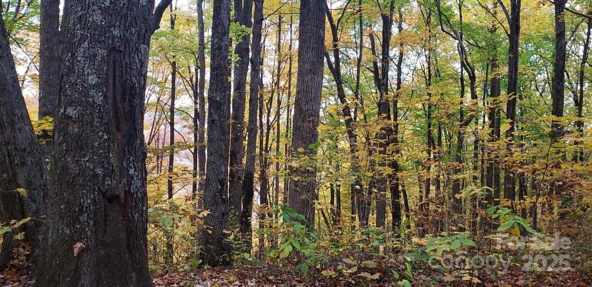 854 Lower Bailey Branch Road
