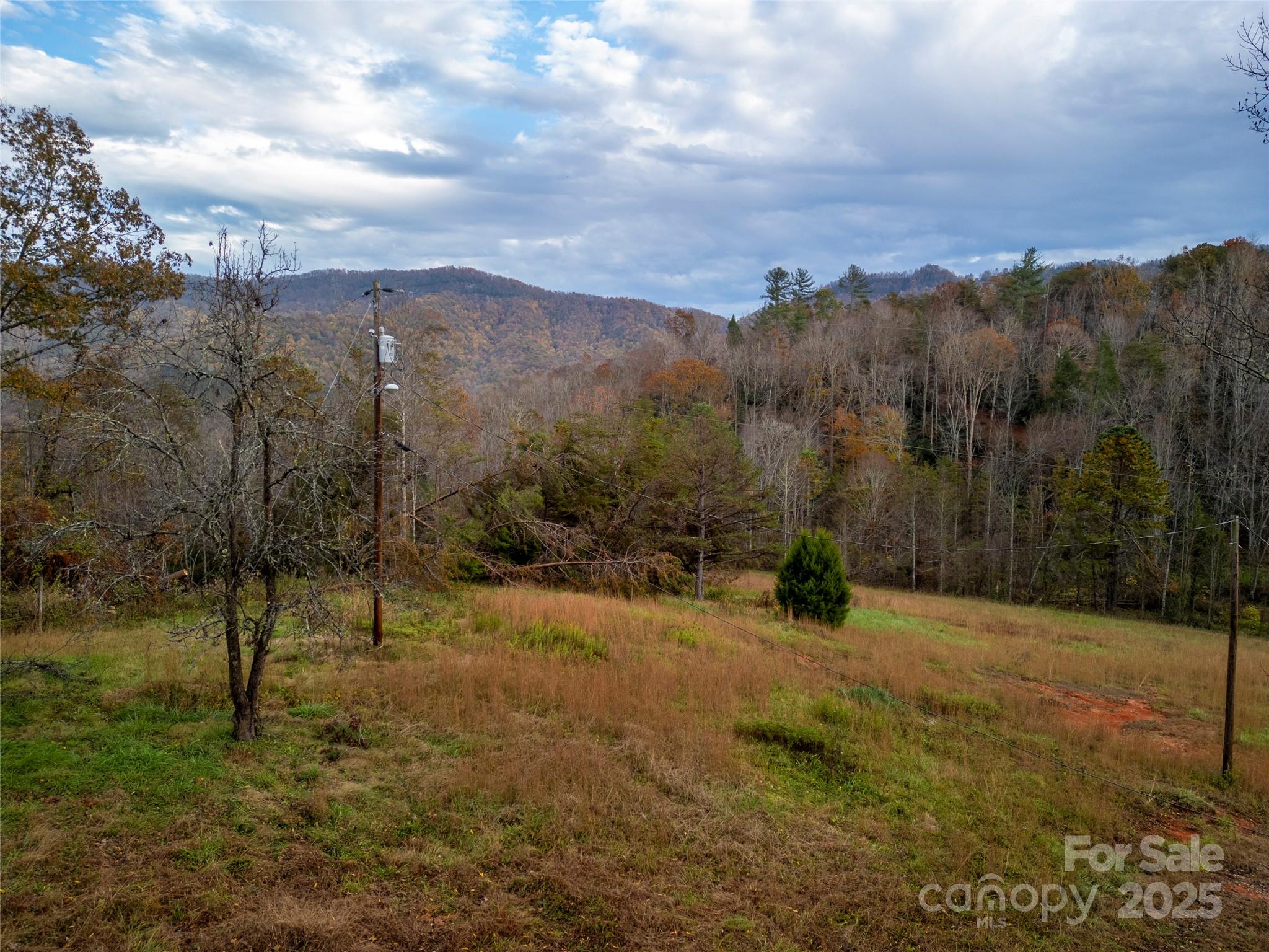 514 Davistown Church Road