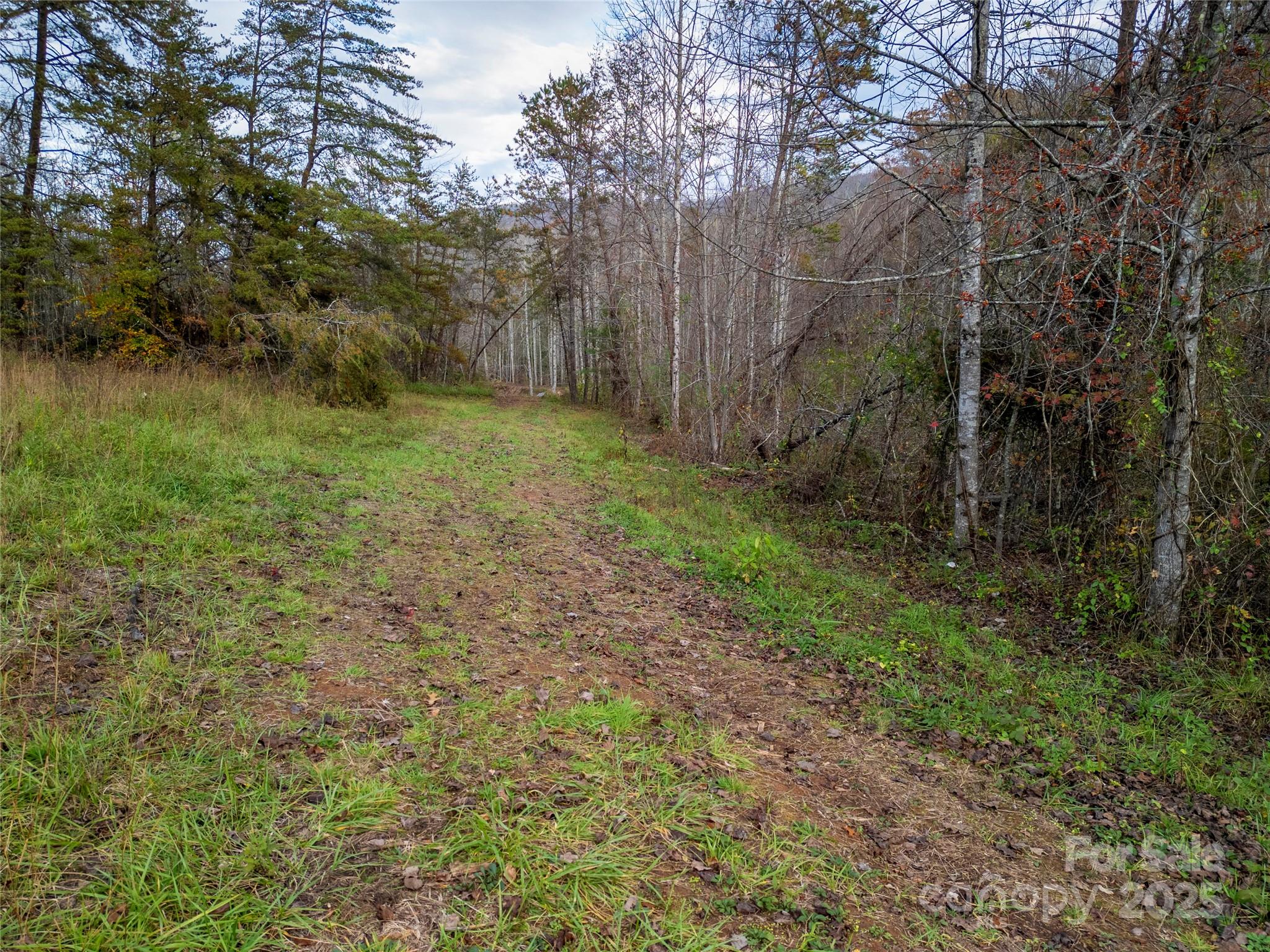 514 Davistown Church Road