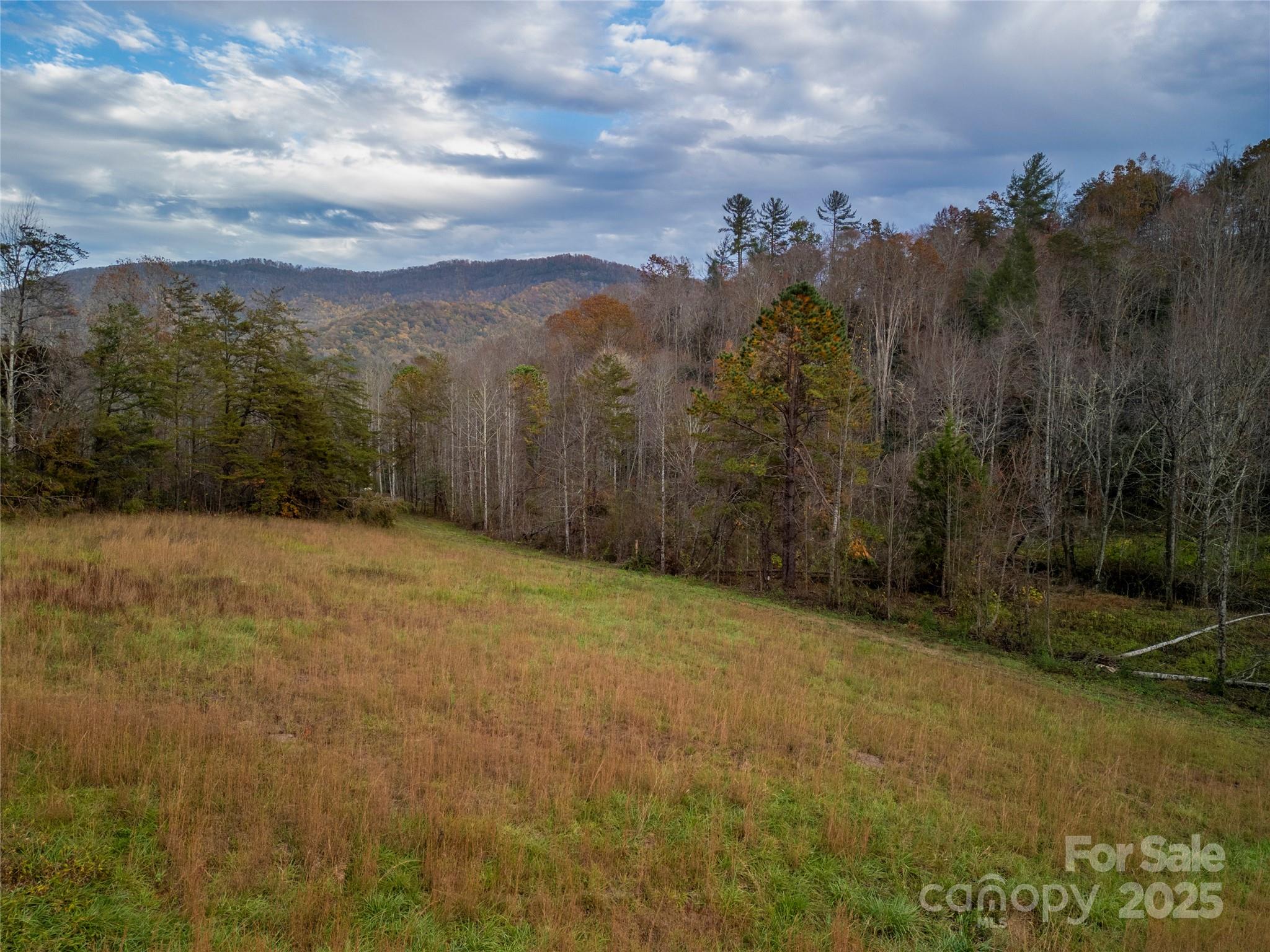 514 Davistown Church Road