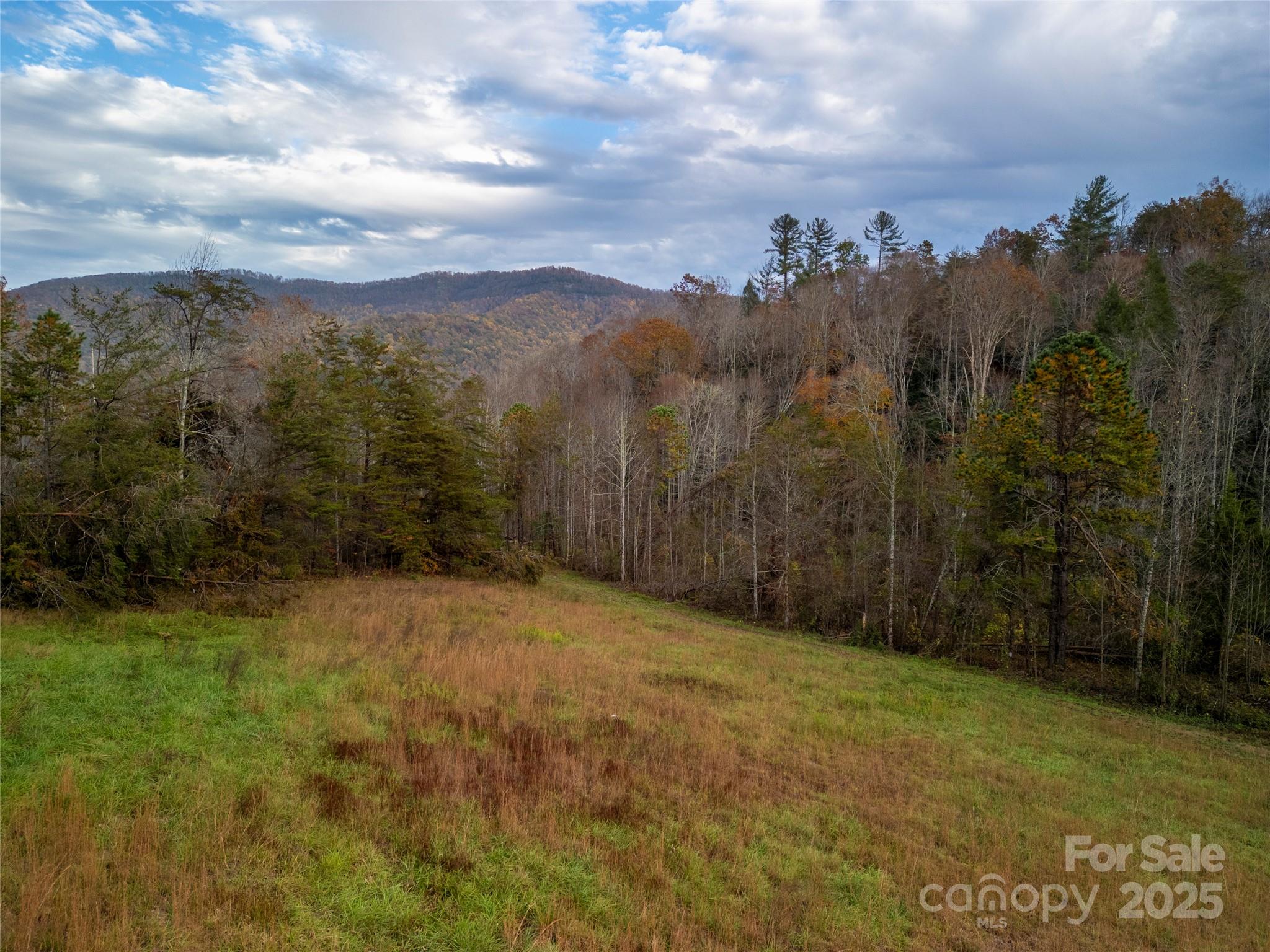 514 Davistown Church Road