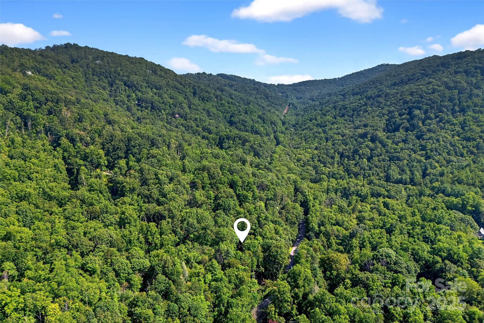 176 Fairview Forest Drive
