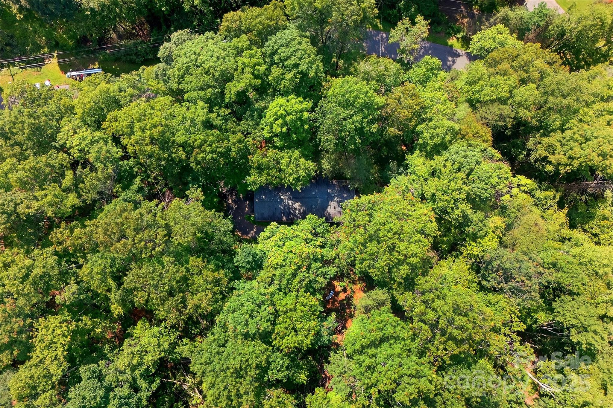 176 Fairview Forest Drive