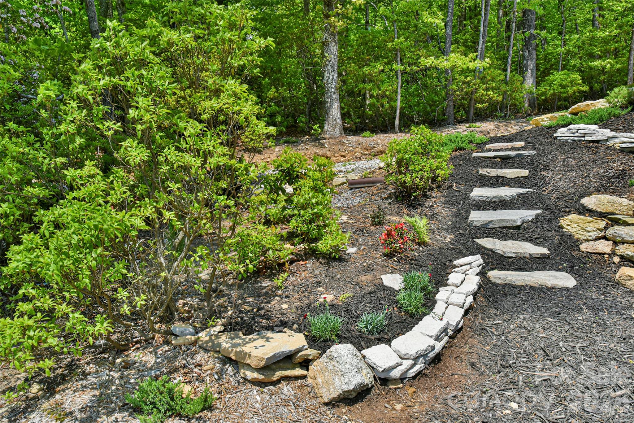 41 High Cliffs Trail