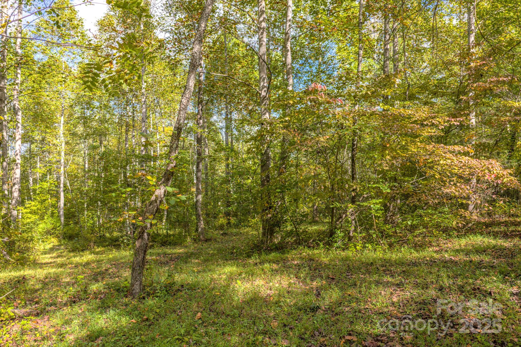 170 Midnight Sun Lane