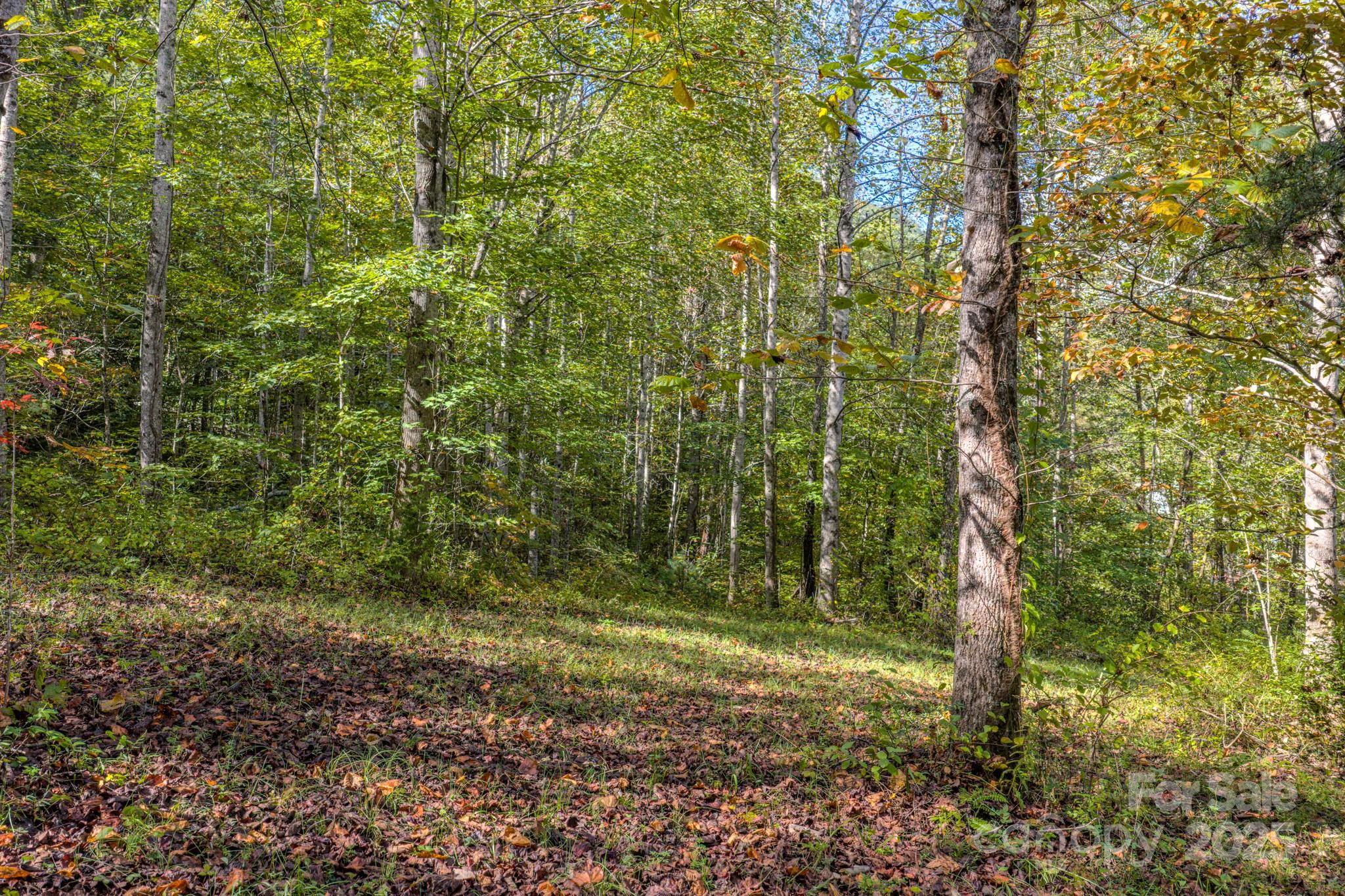 170 Midnight Sun Lane