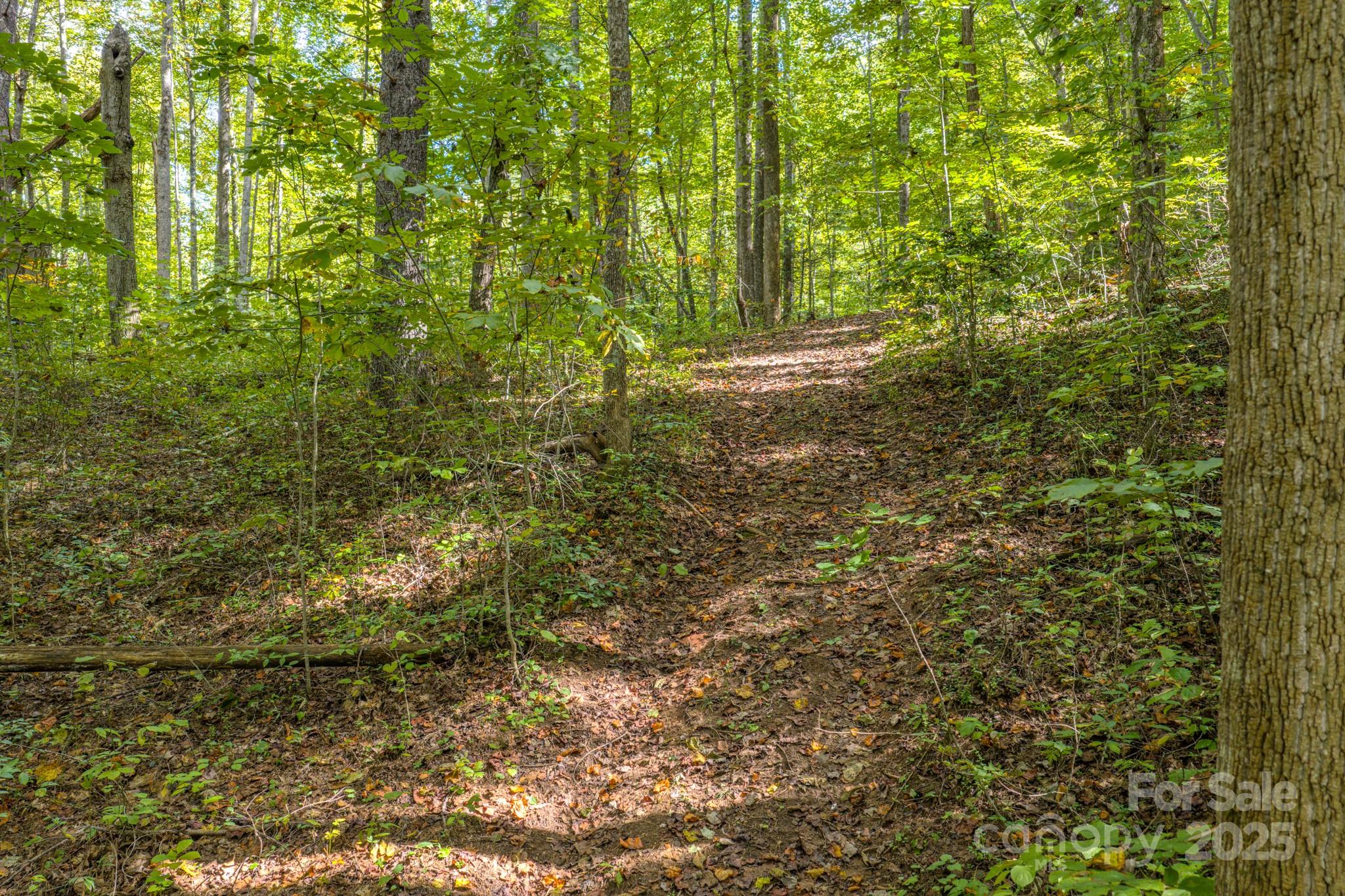 170 Midnight Sun Lane