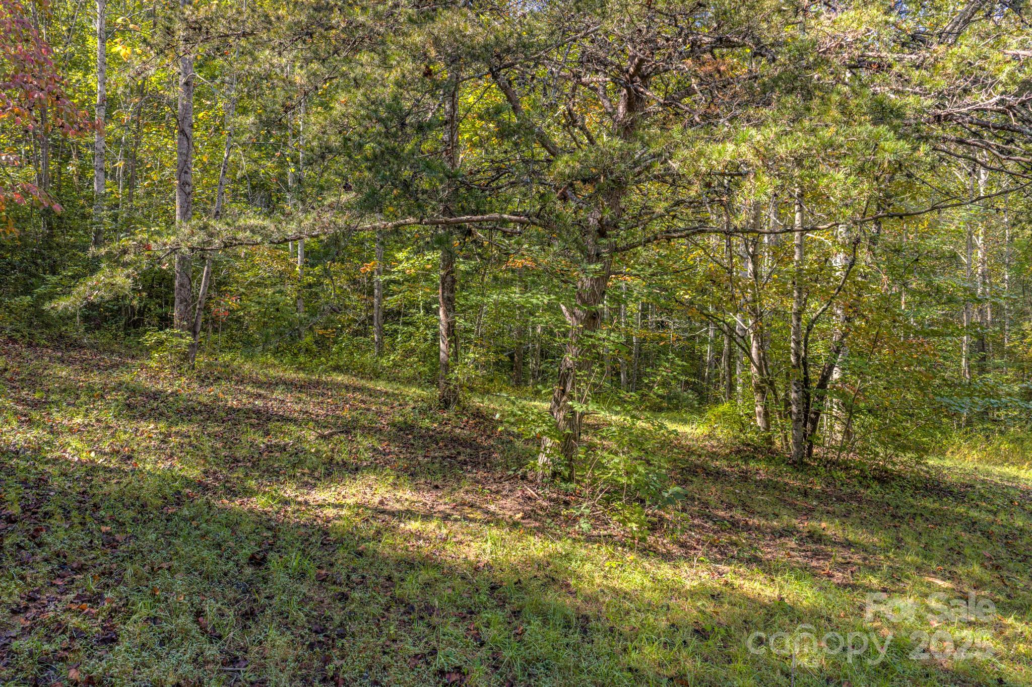 170 Midnight Sun Lane