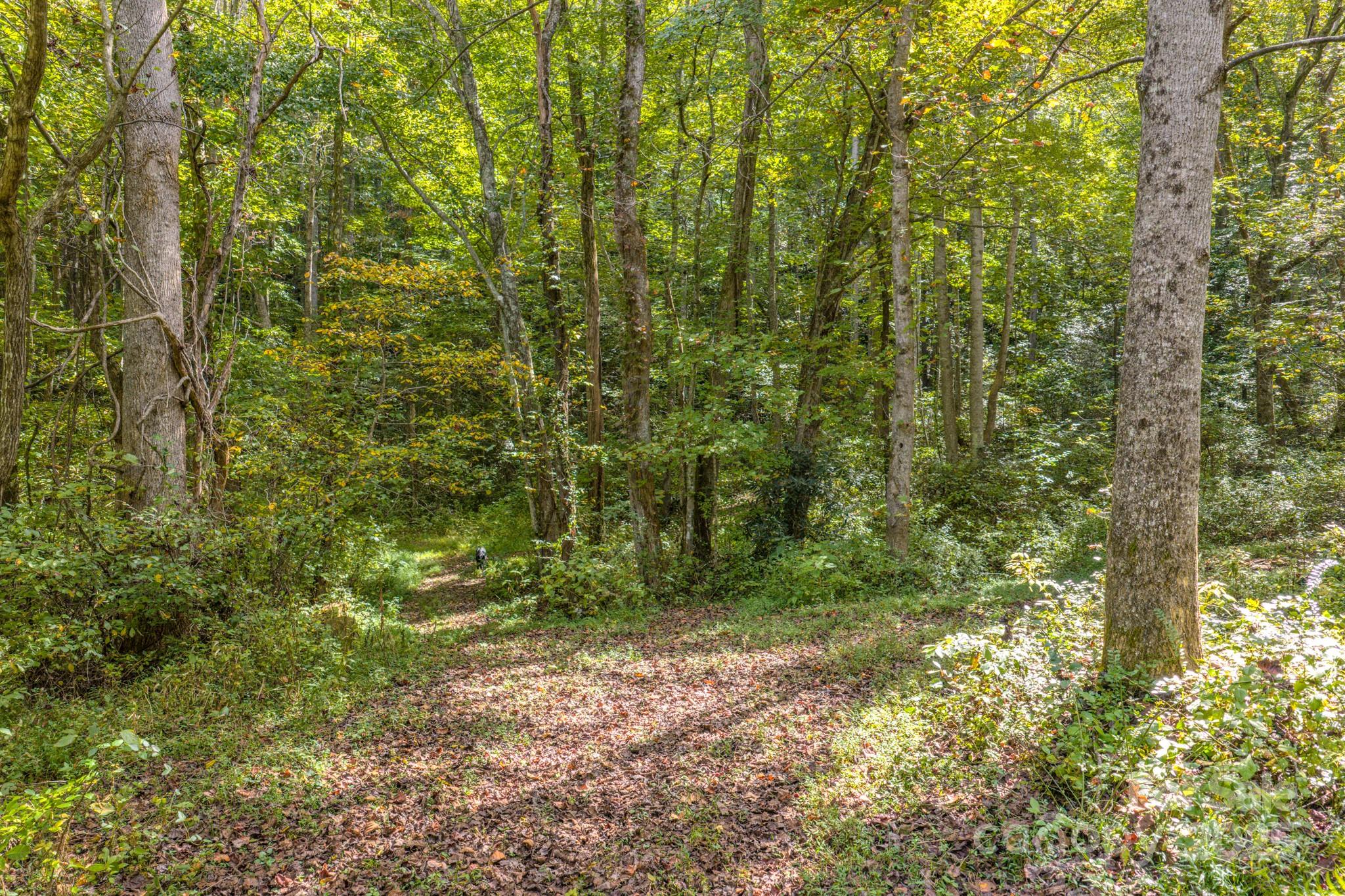 170 Midnight Sun Lane