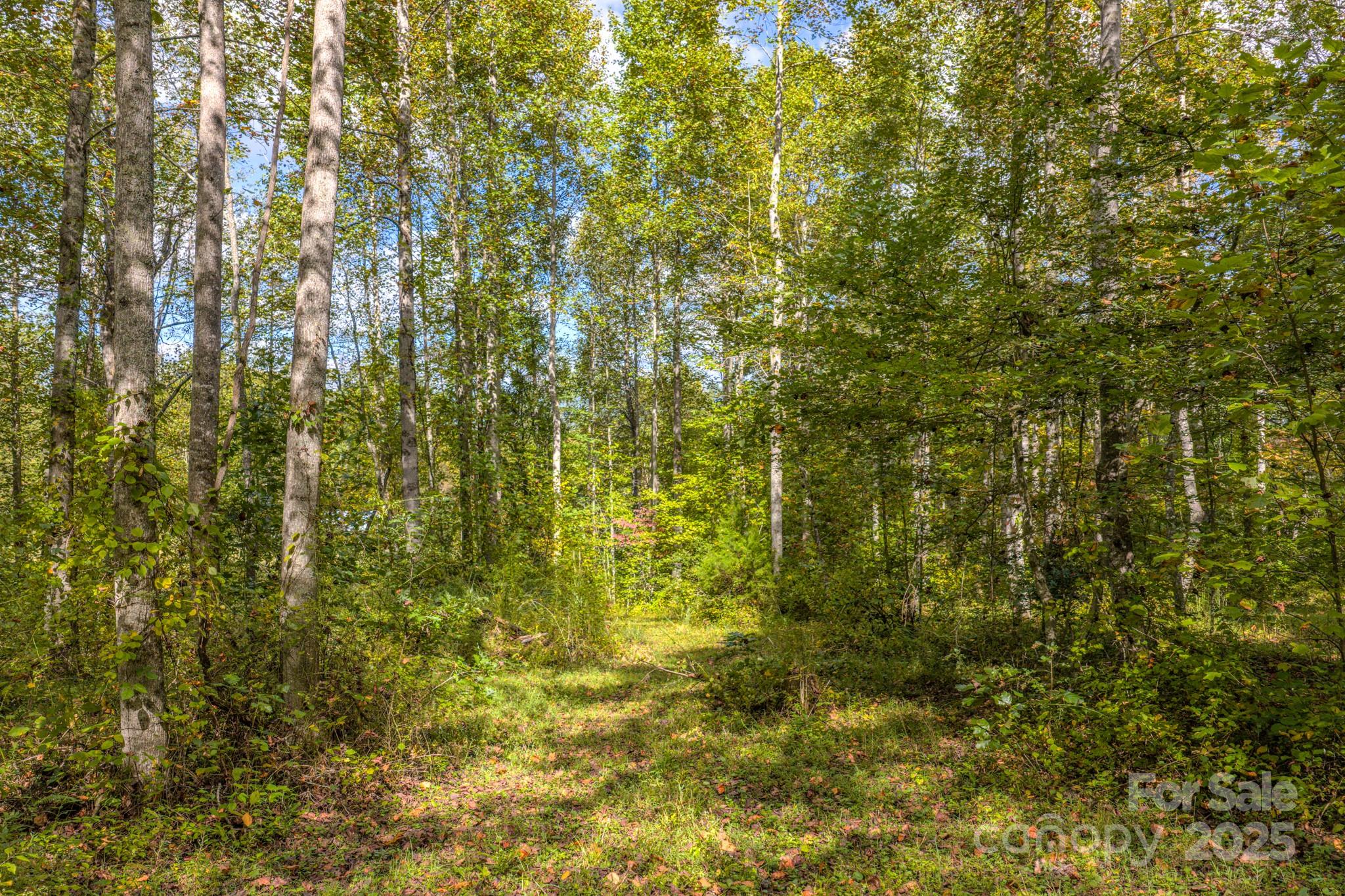 170 Midnight Sun Lane