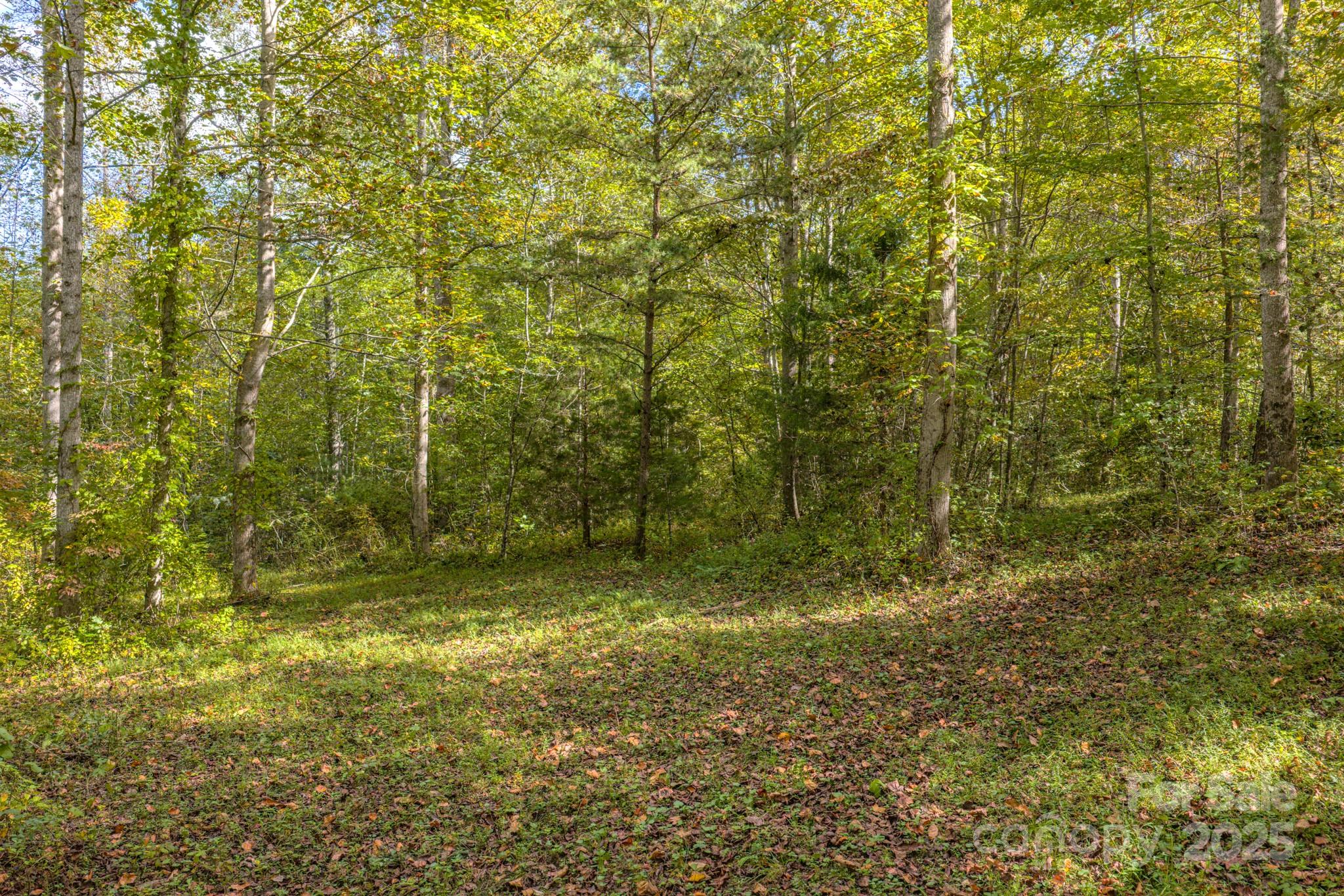 170 Midnight Sun Lane