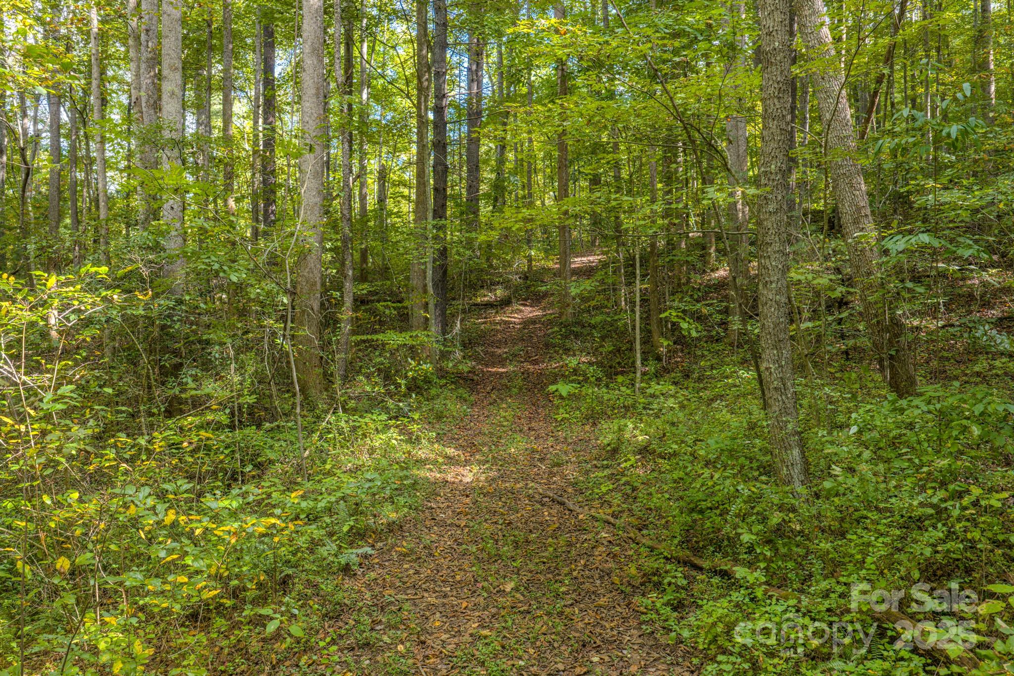 170 Midnight Sun Lane